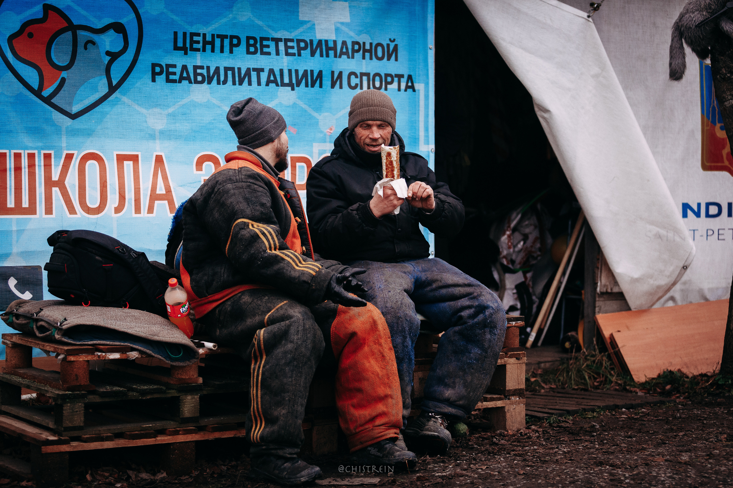 Мондьоринг в СПб. Фотограф-анималист Наталия Чистюхина в г. Сосновый Бор и ЛО
