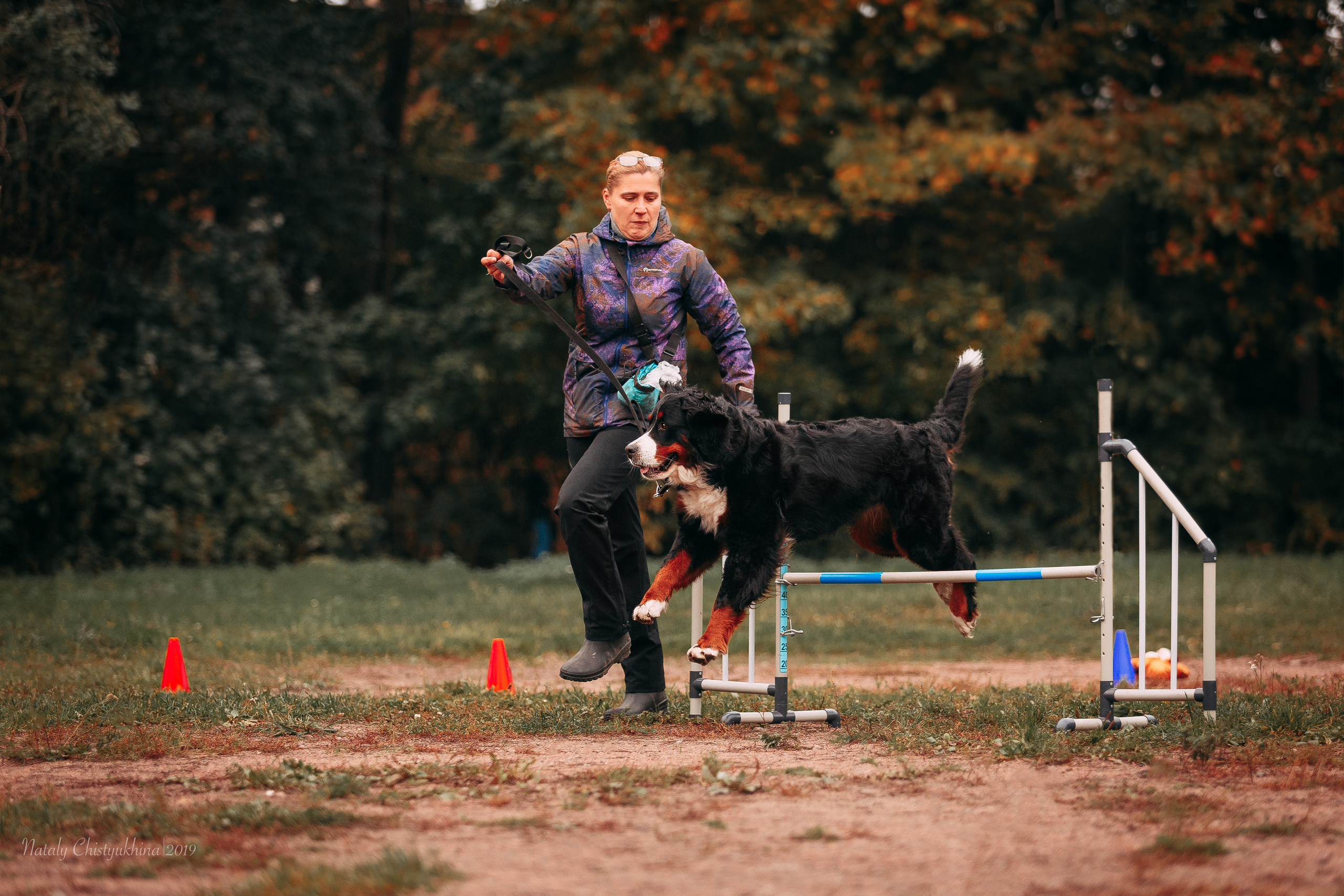 Соревнования «Петровская осень». Фотограф-анималист Наталия Чистюхина в г. Сосновый Бор и ЛО