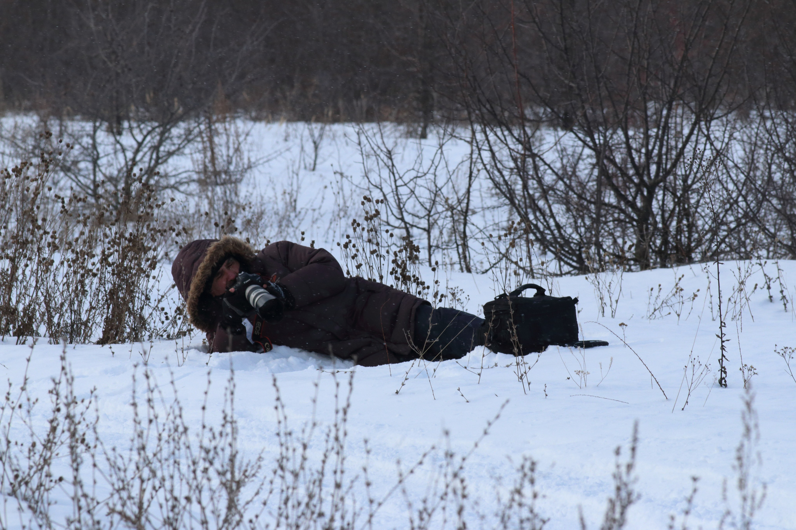 08.02.2020 Ширяево. Гонка на собаках. Фотообъединение Самарского областного отделения Союза журналистов России