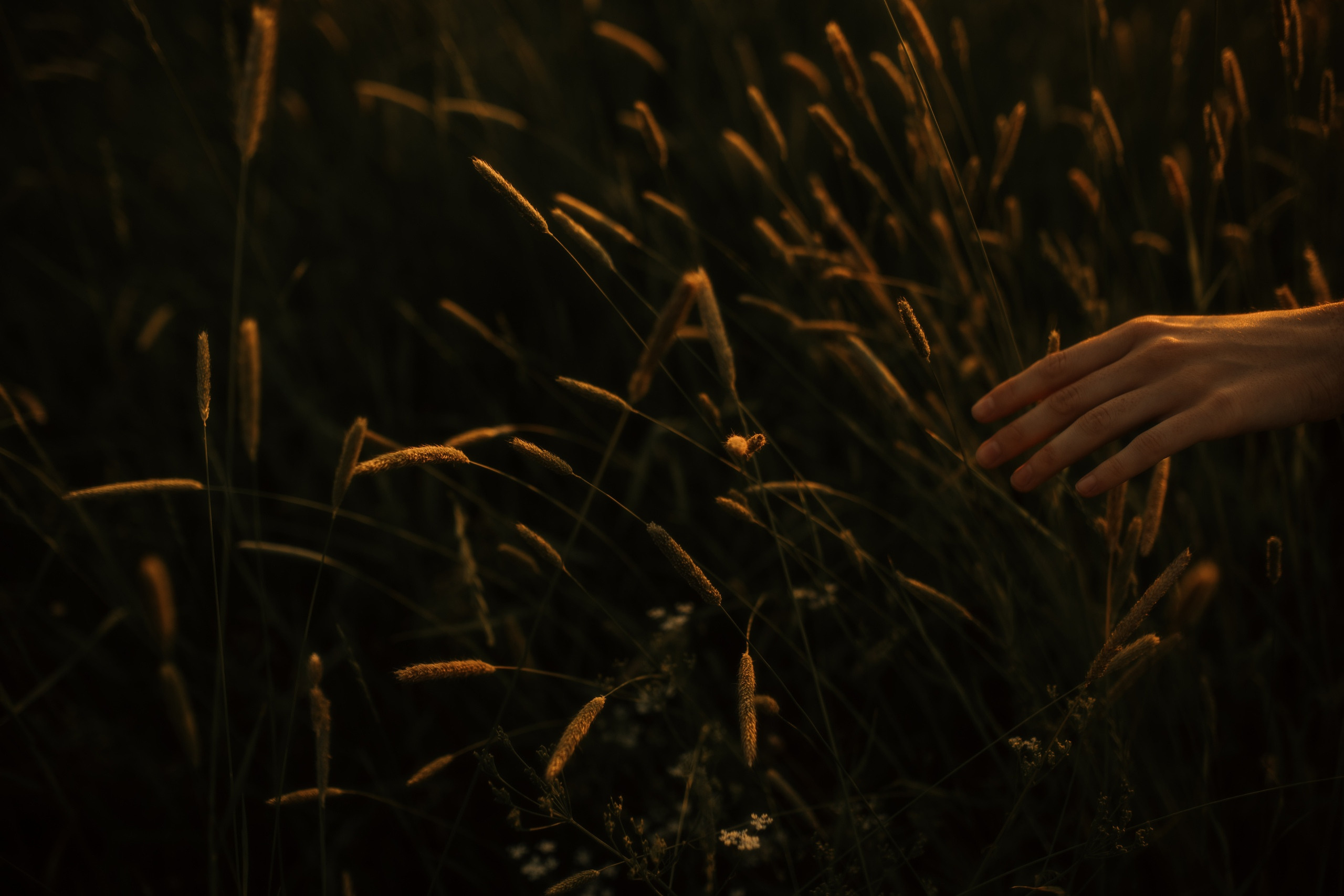 Toma. Портретный фотограф в Санкт-Петербурге Алексей Корзов