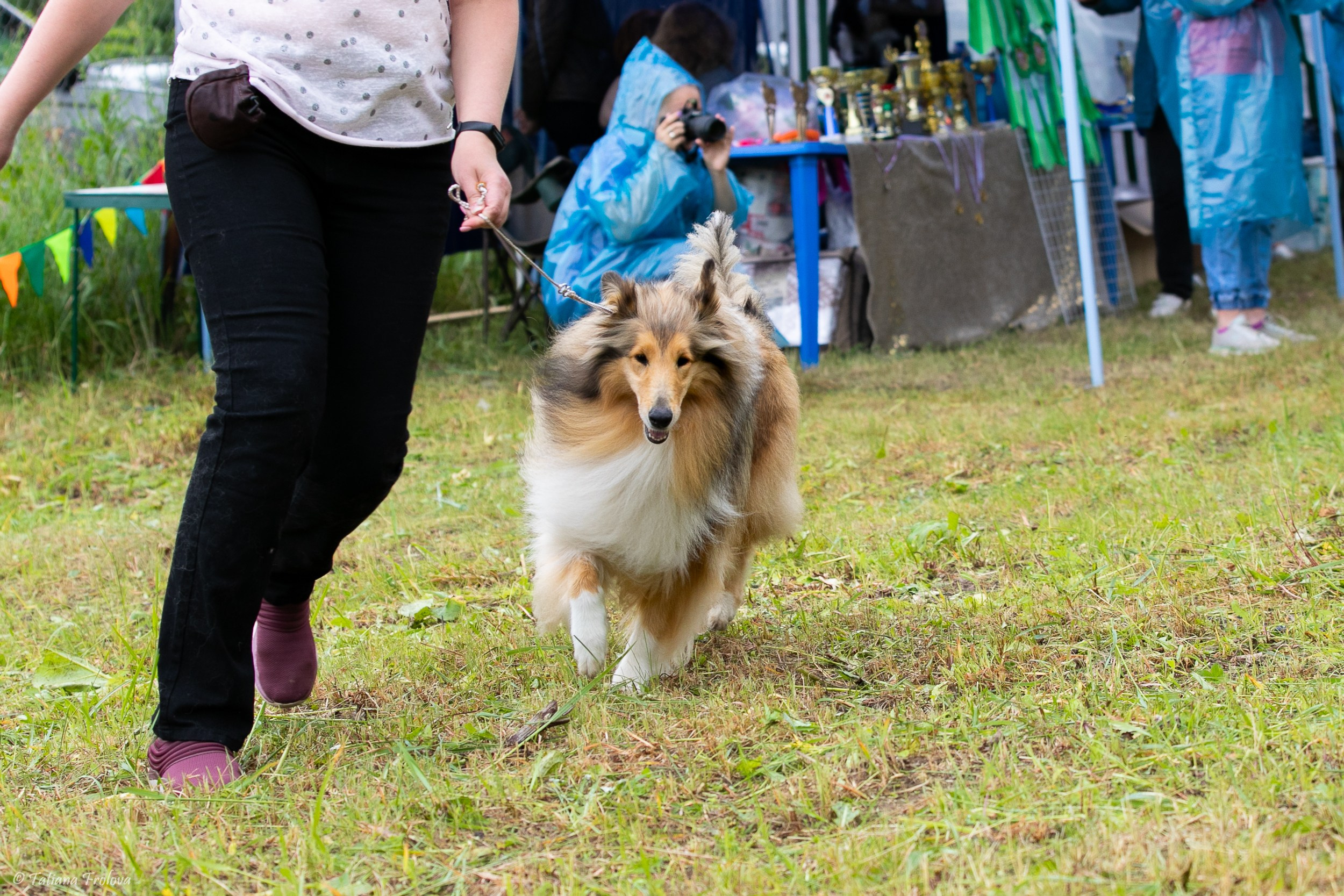 Фотосопровождение выставки собак в Московской области и Москве. Фотограф-анималист в Москве и Московской области Татьяна Фролова