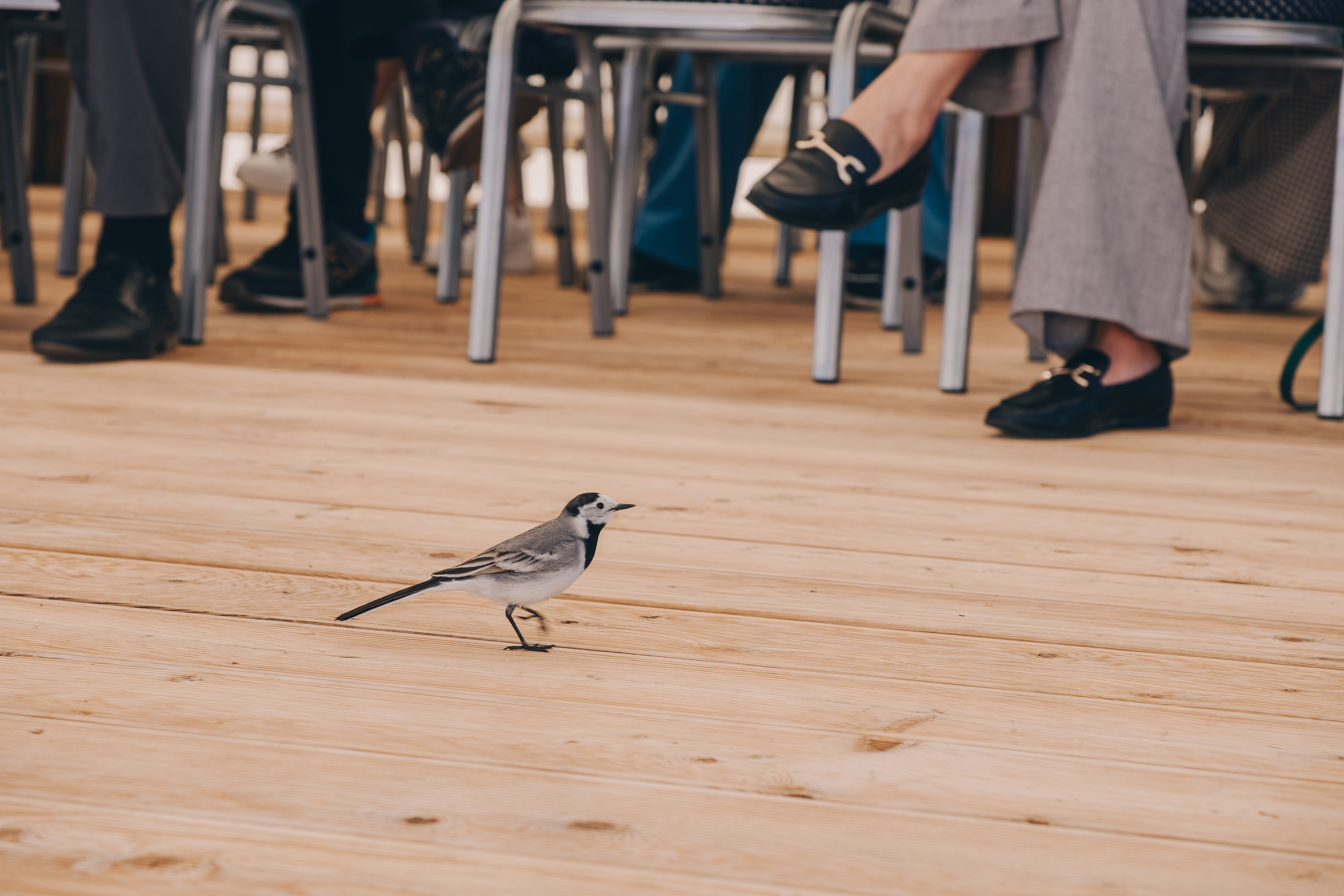 Экологический форум. Фотограф в Иркутске Анна Мирошникова