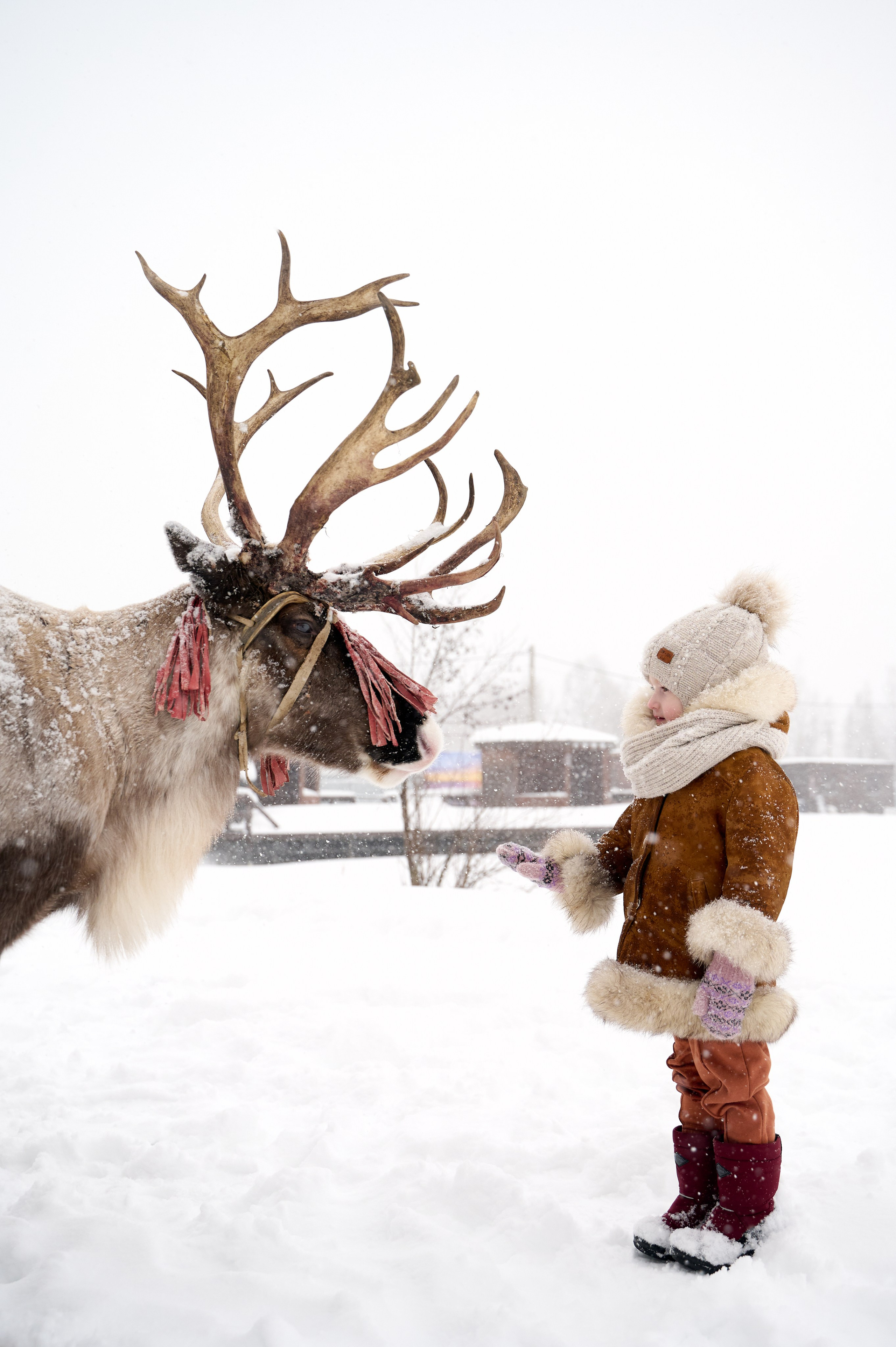 Дмитрий Тамара Ирина. Фотограф Егорьевск Коломна Воскресенск