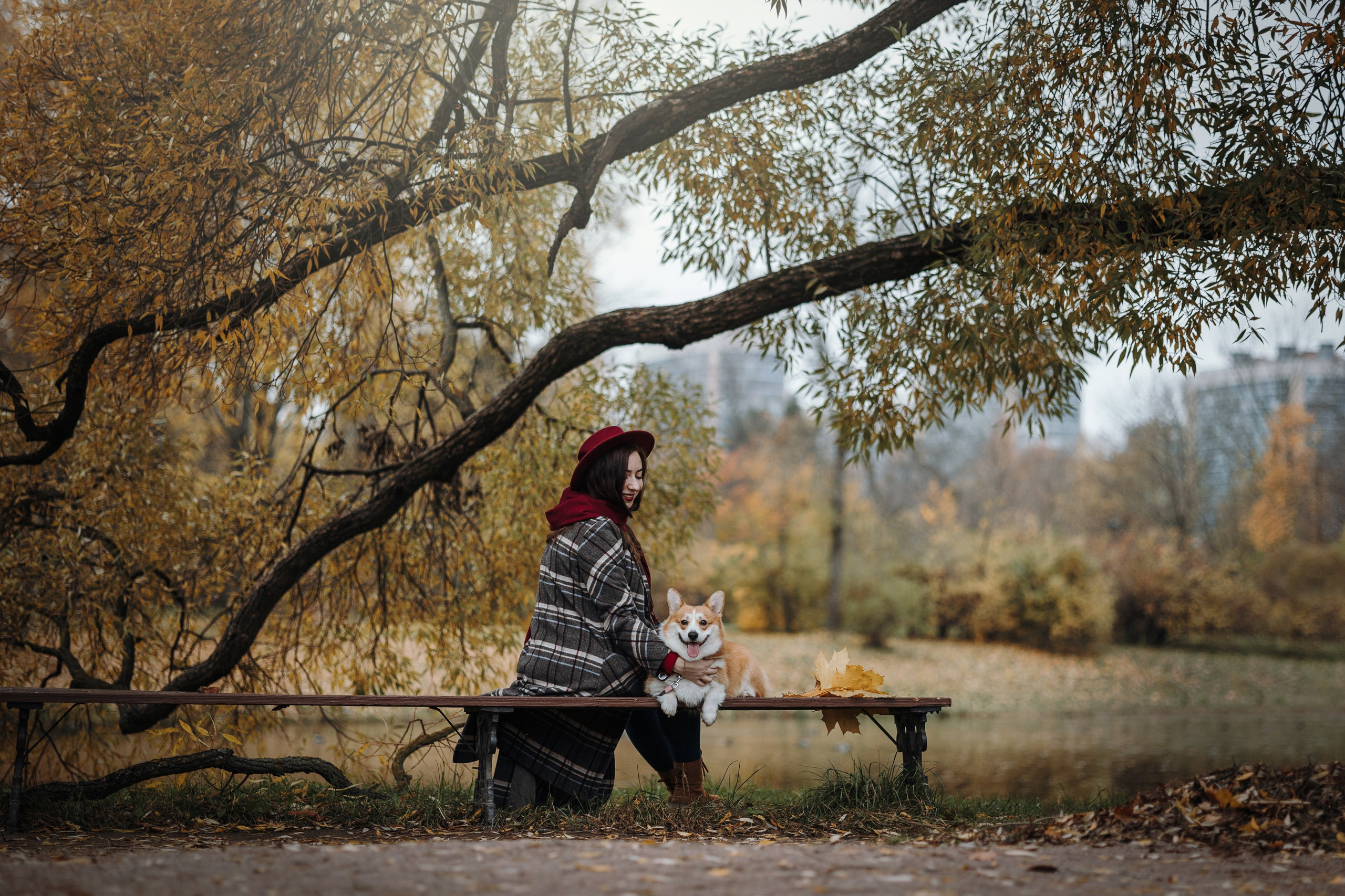 Юля и Терри. Фотограф — Анималист | Санкт-Петербург