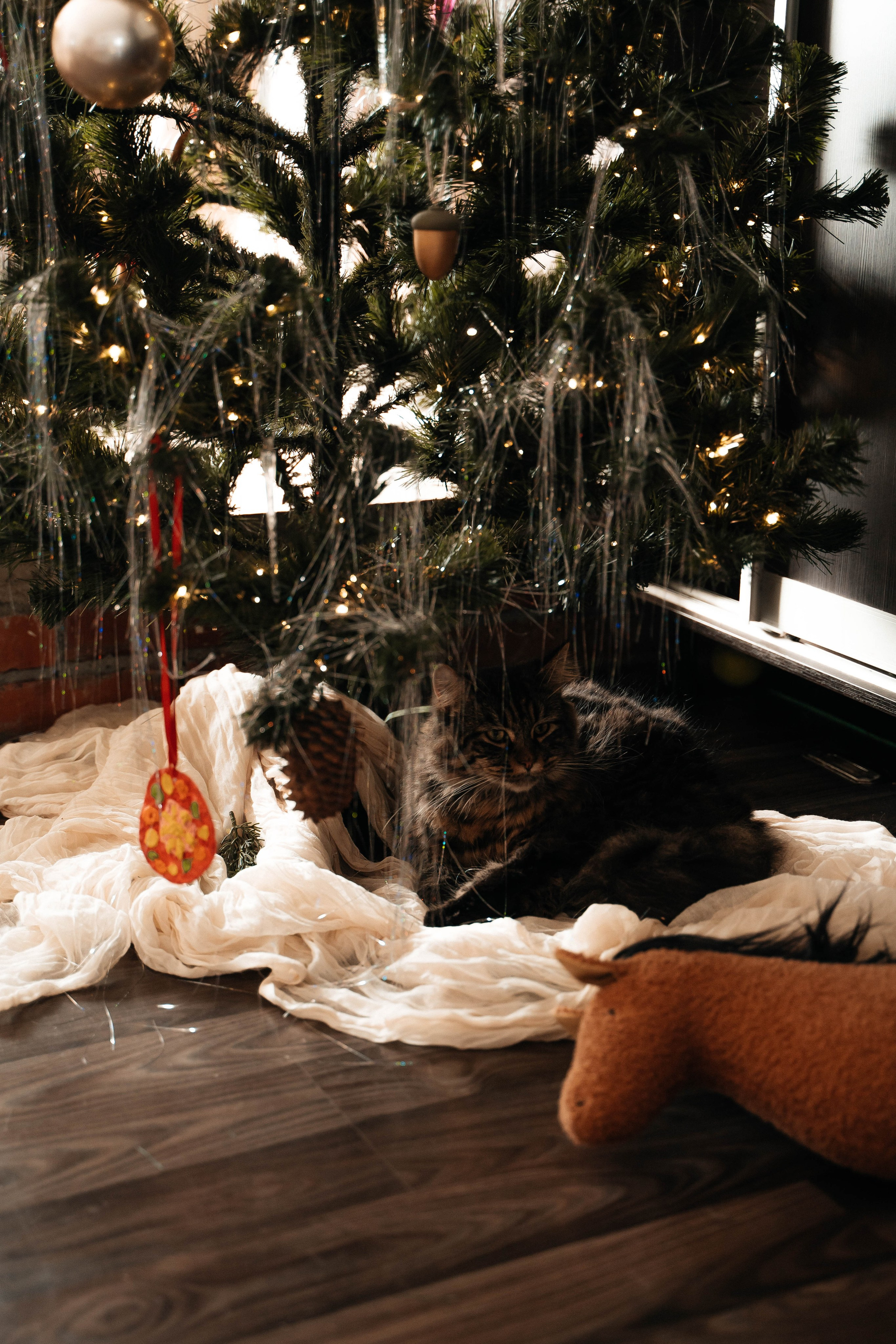 Первый Новый год в доме — Алябьевы. Свадебный и семейный фотограф