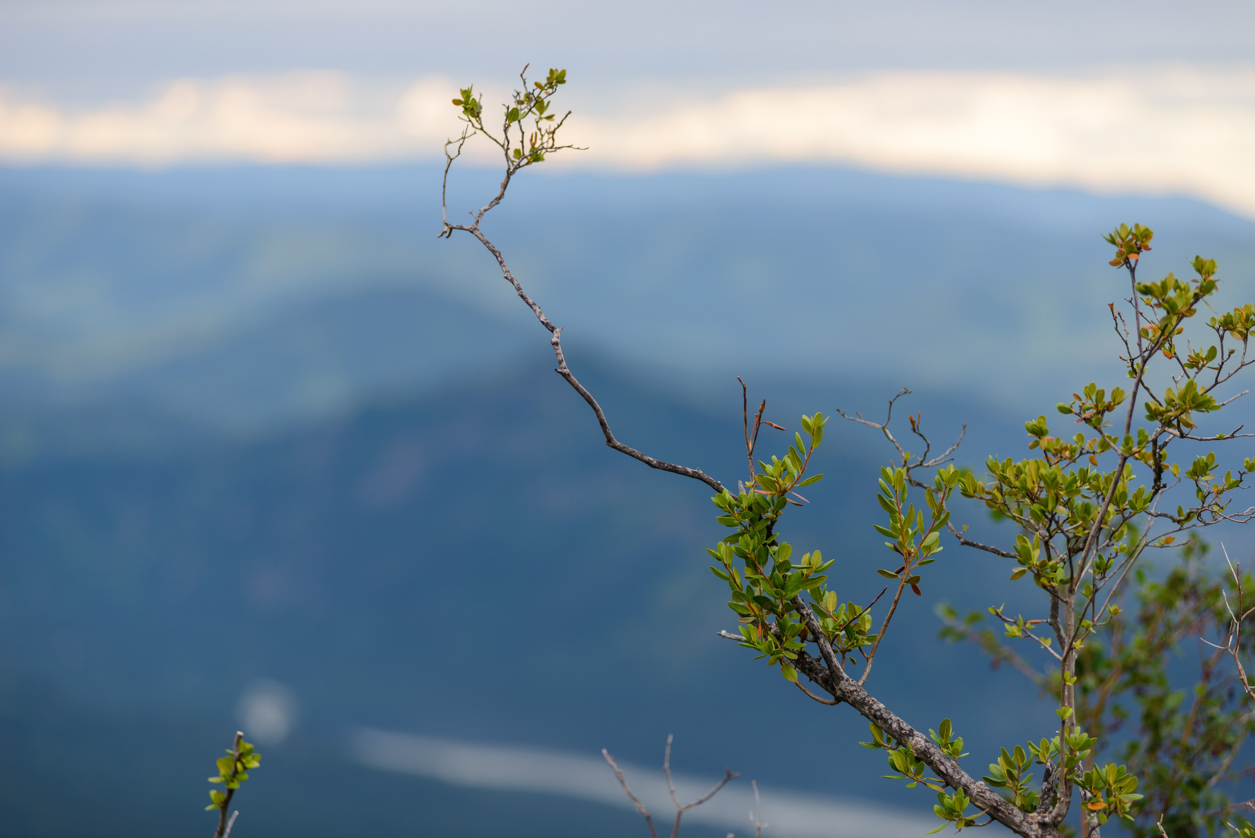 Природа. Фотограф в городе Омске Константин Зоткин