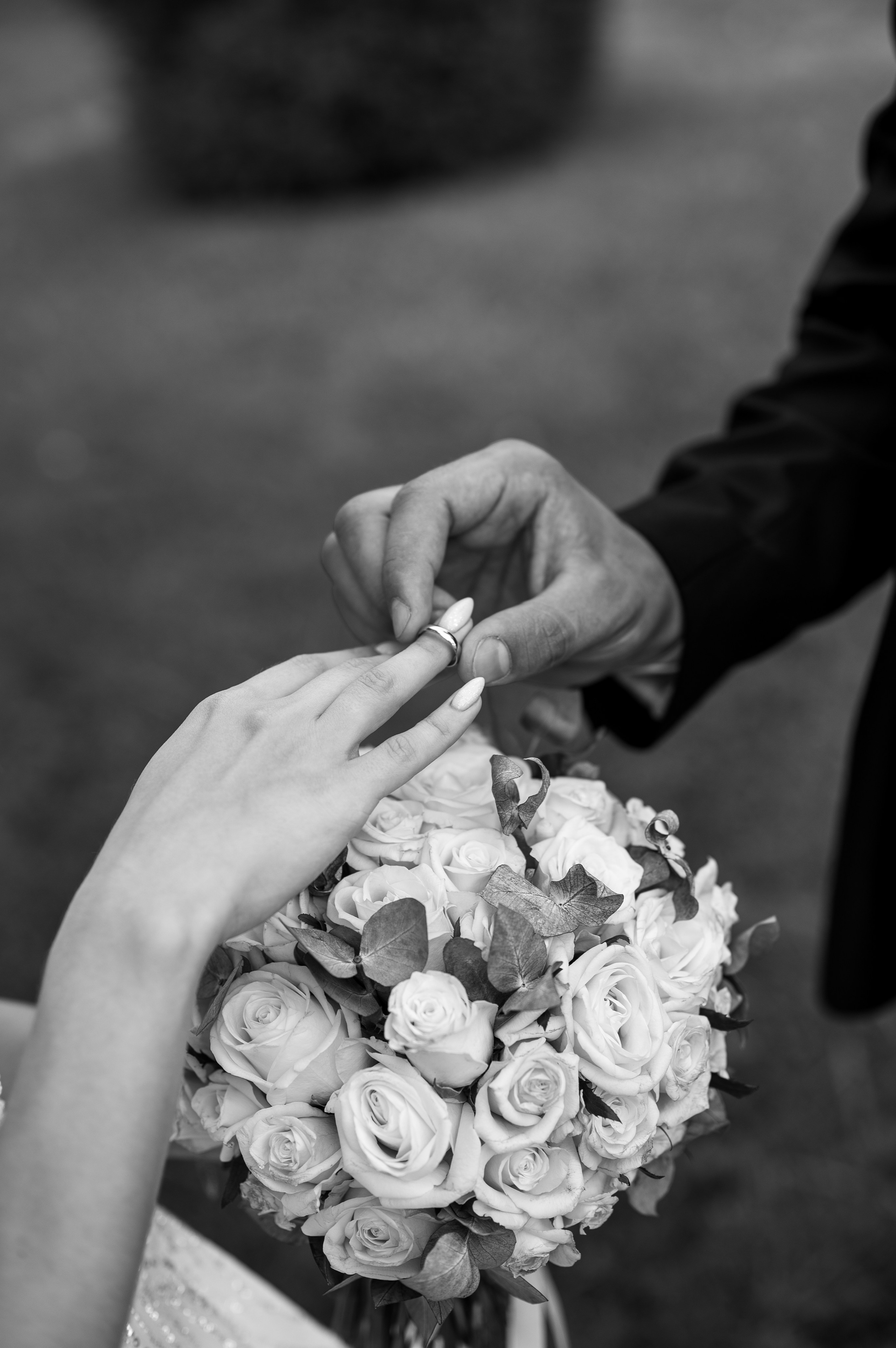 Свадьба (прогулочная съёмка). Свадебный и семейный фотограф в Краснодаре Алина Мельник