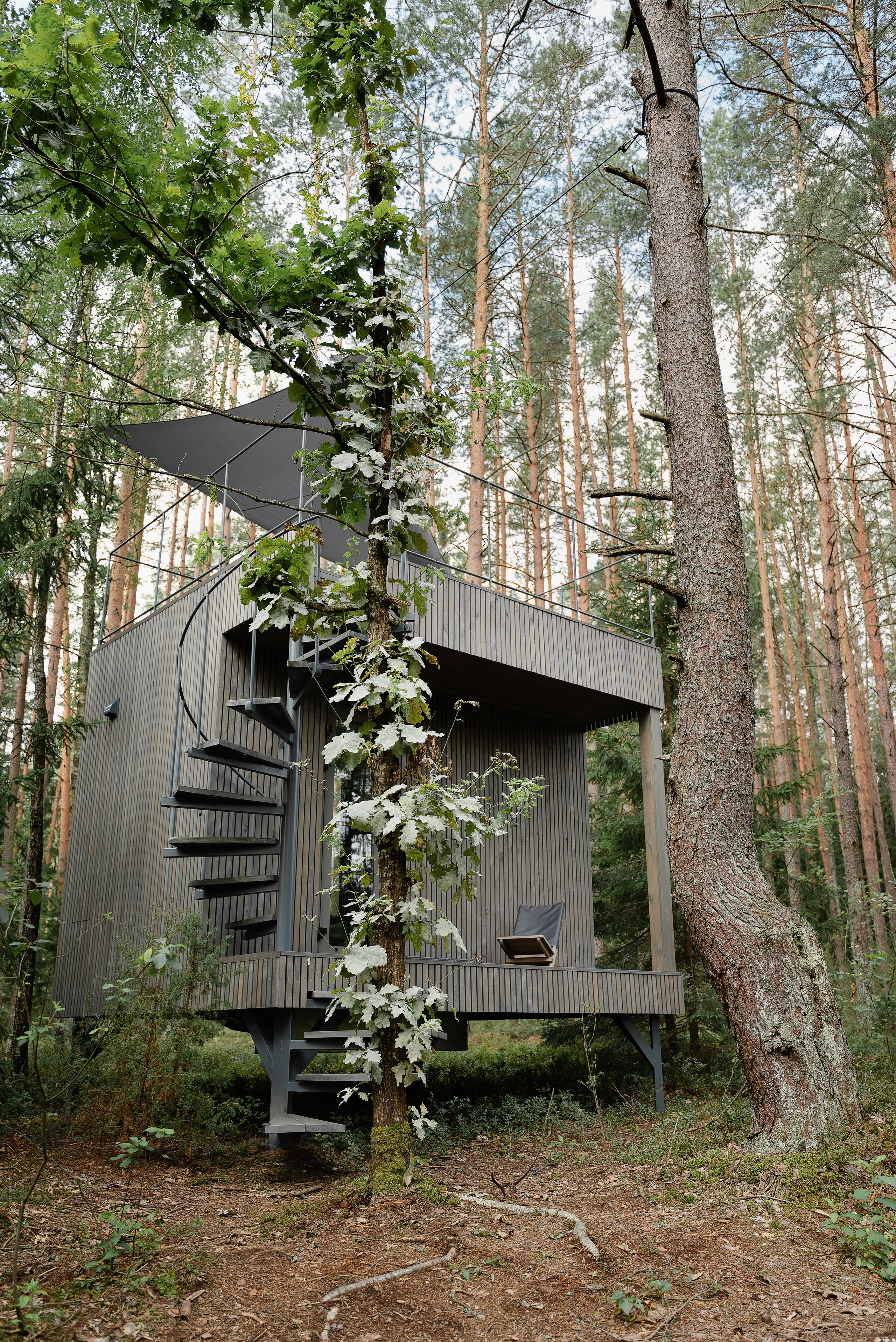 DZEN FOREST. Репортажный и свадебный фотограф в Минске Шамко Анатолий
