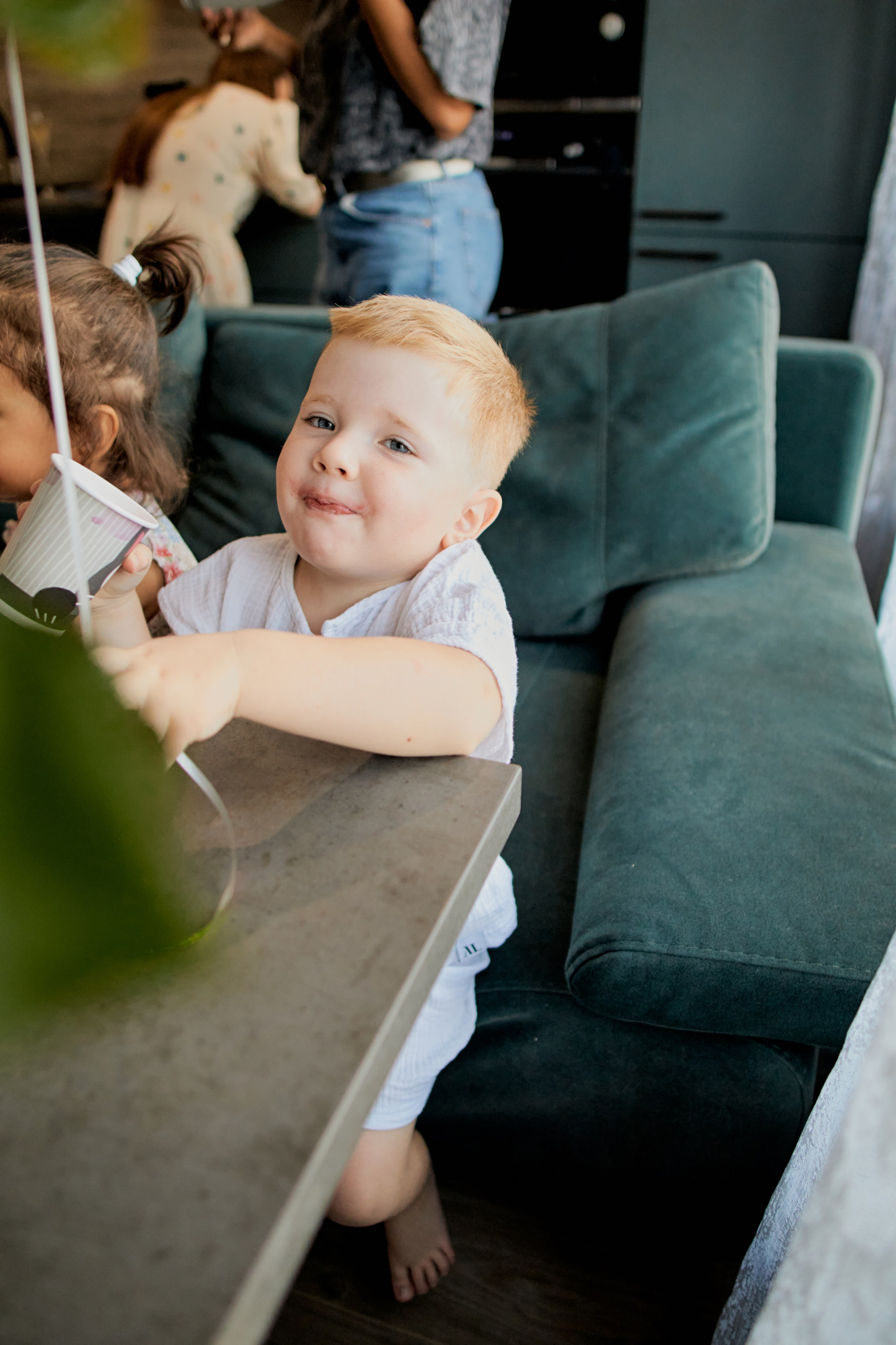 Три кота. Фотограф Москва