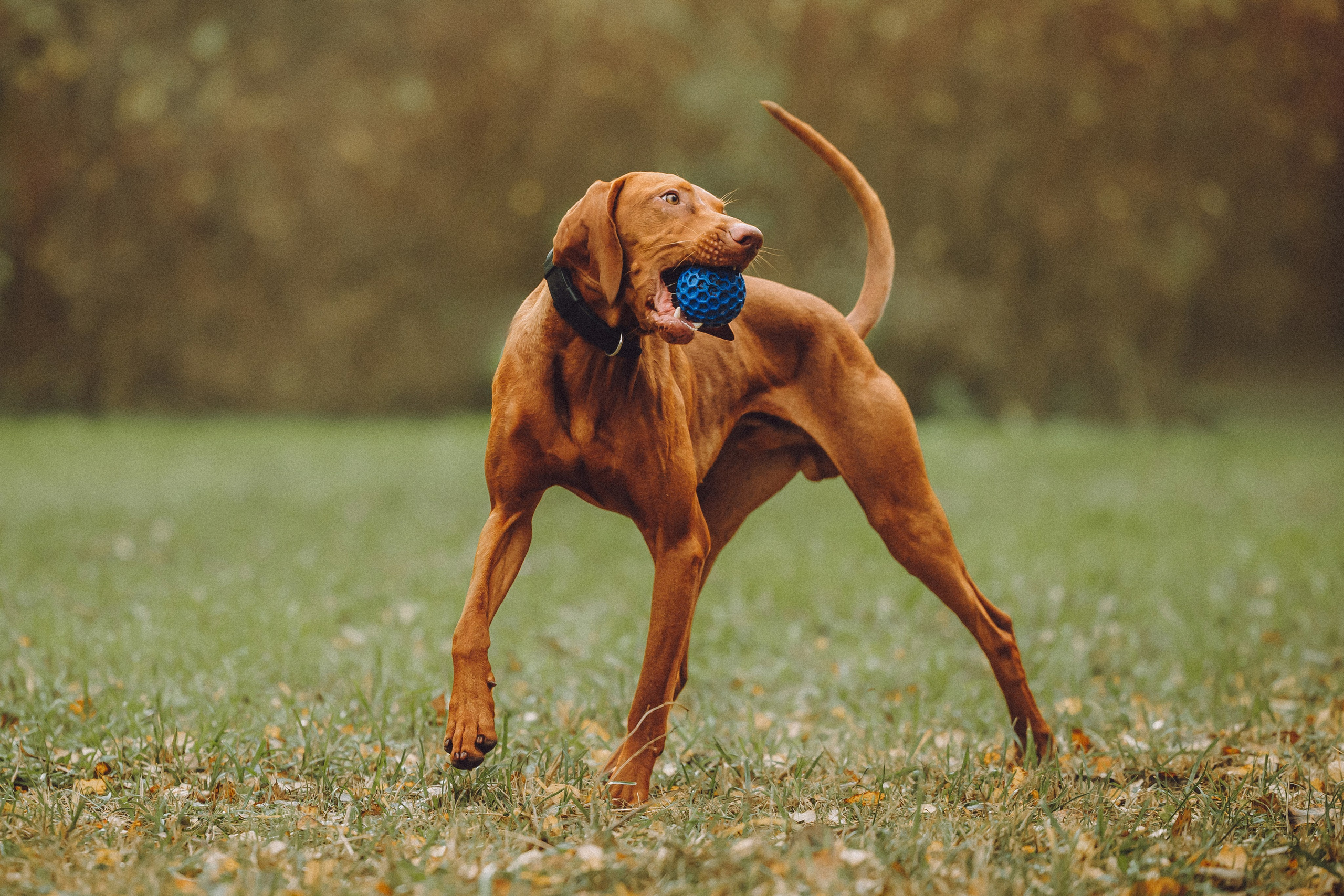 Дориан и его семья