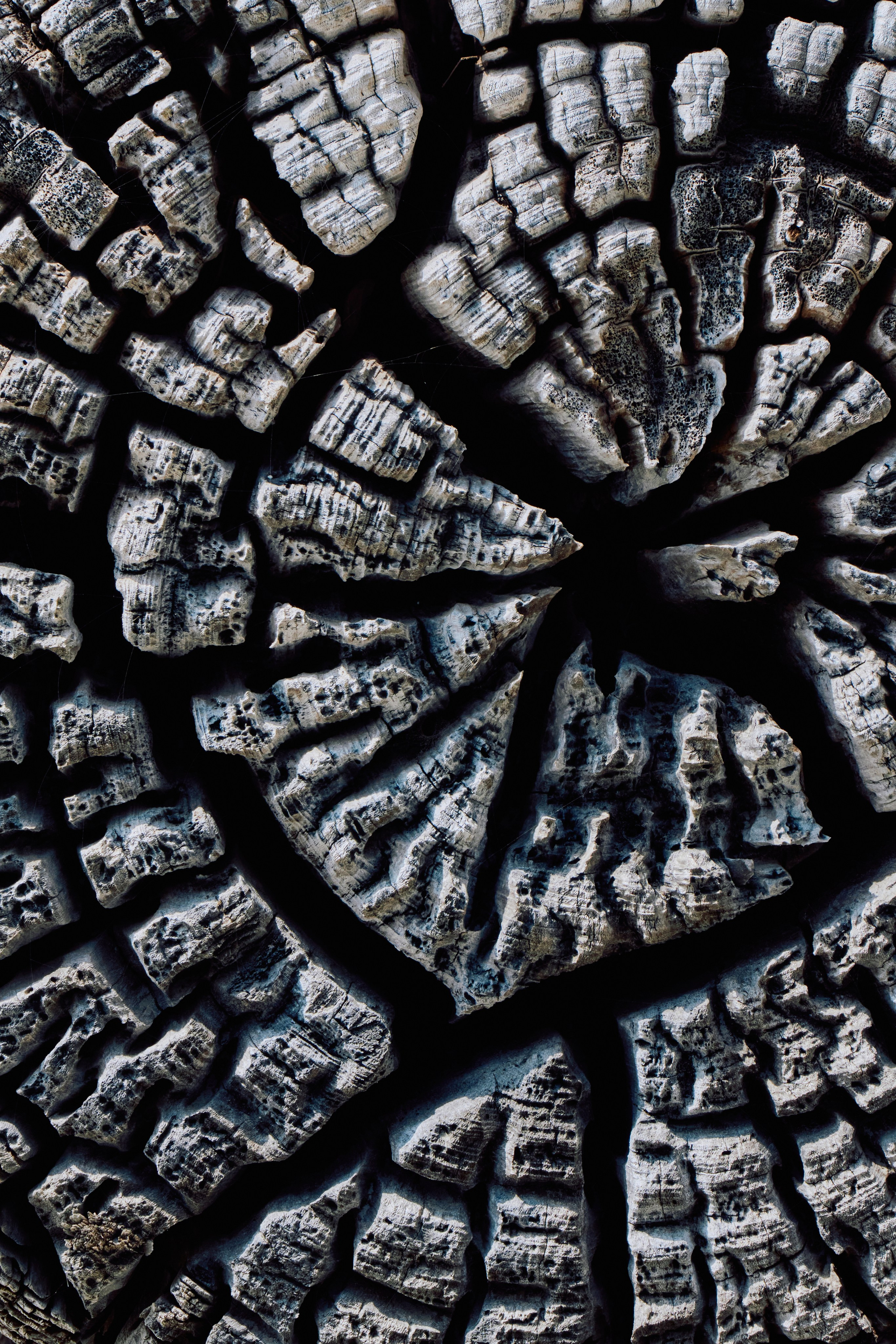 Archipelago Bissagos. See the moment and catche. commercial and reportage