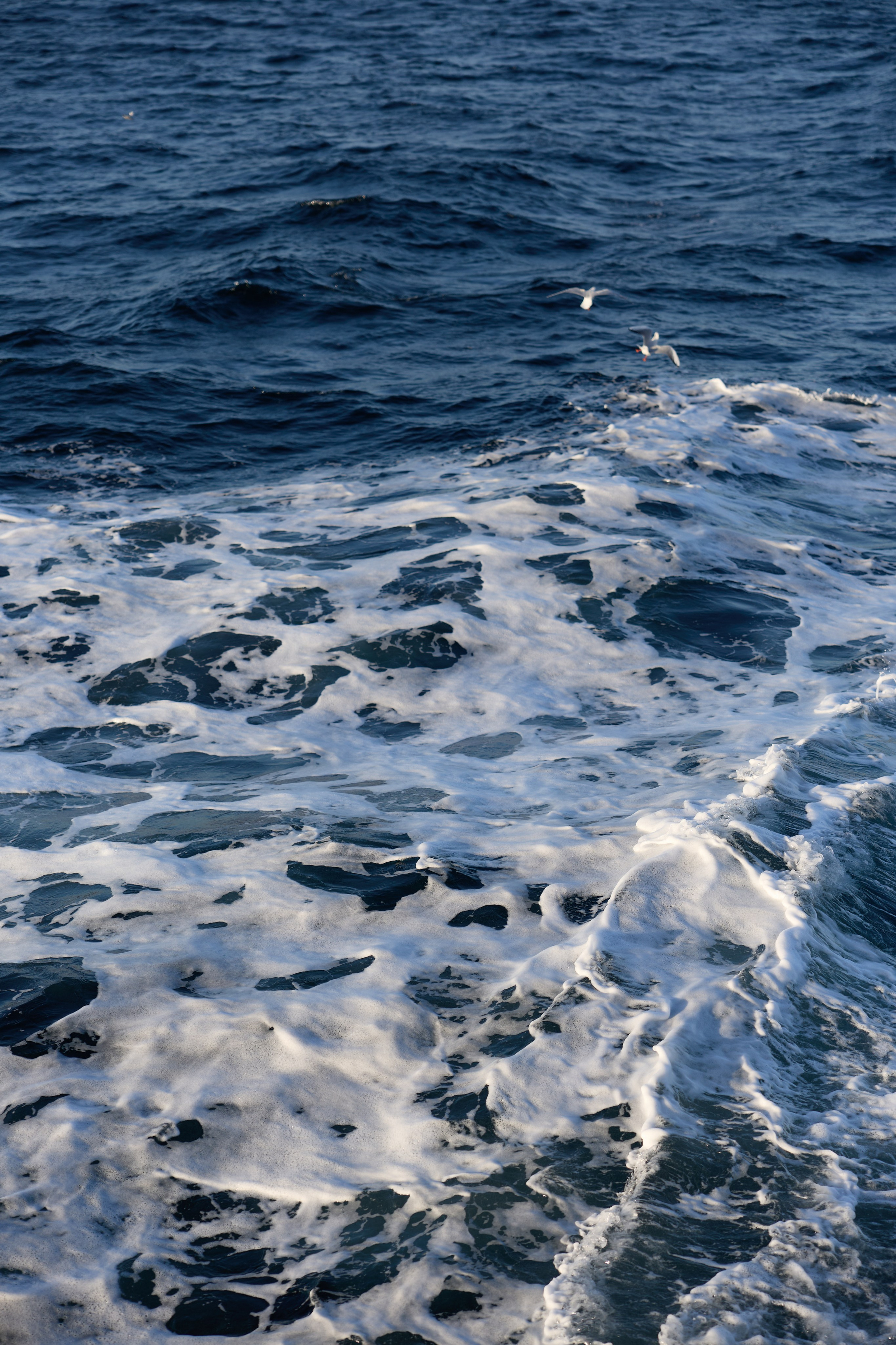 Стамбул 24. Фотограф Москва, Дима Пеллер