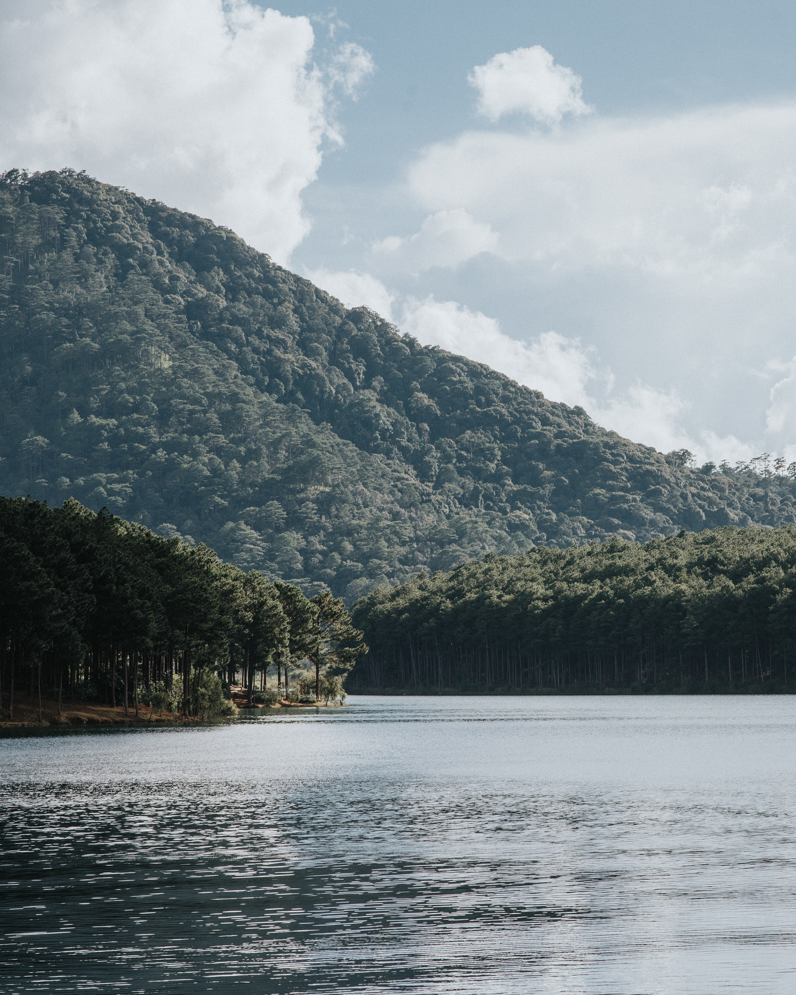 Other. Orunek photo (portrait photographer in Da Nang)