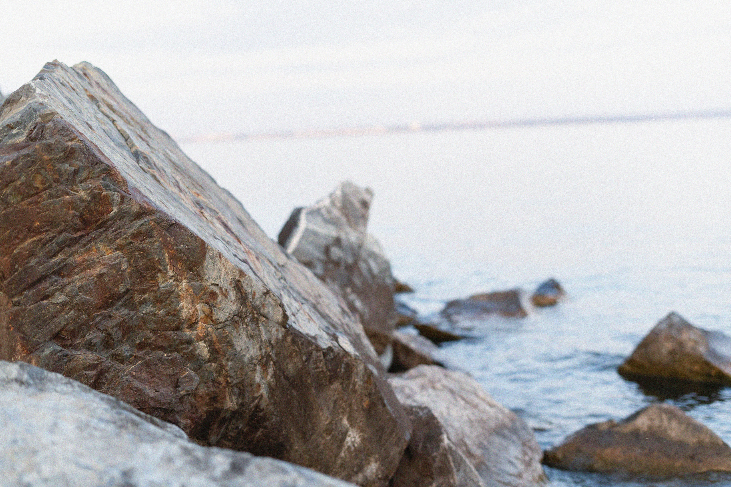 Фотосессия на природе Новосибирск Краснообск