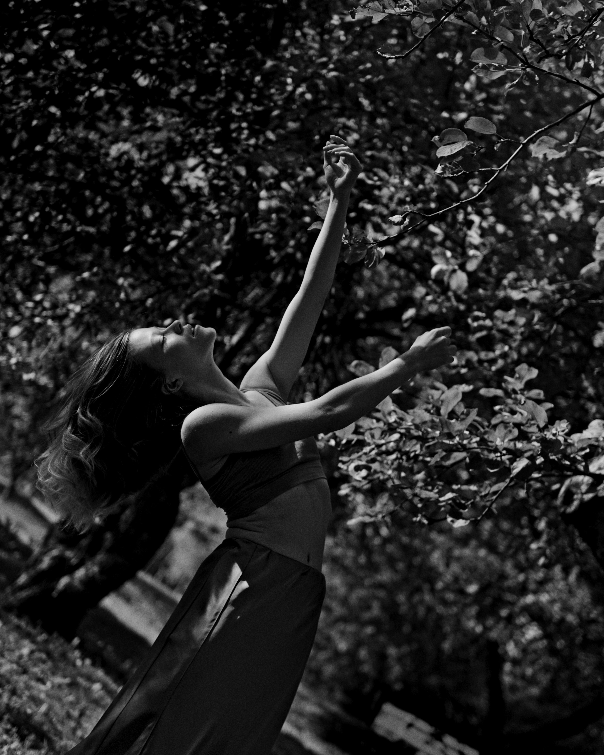 Dancing in the shade of trees