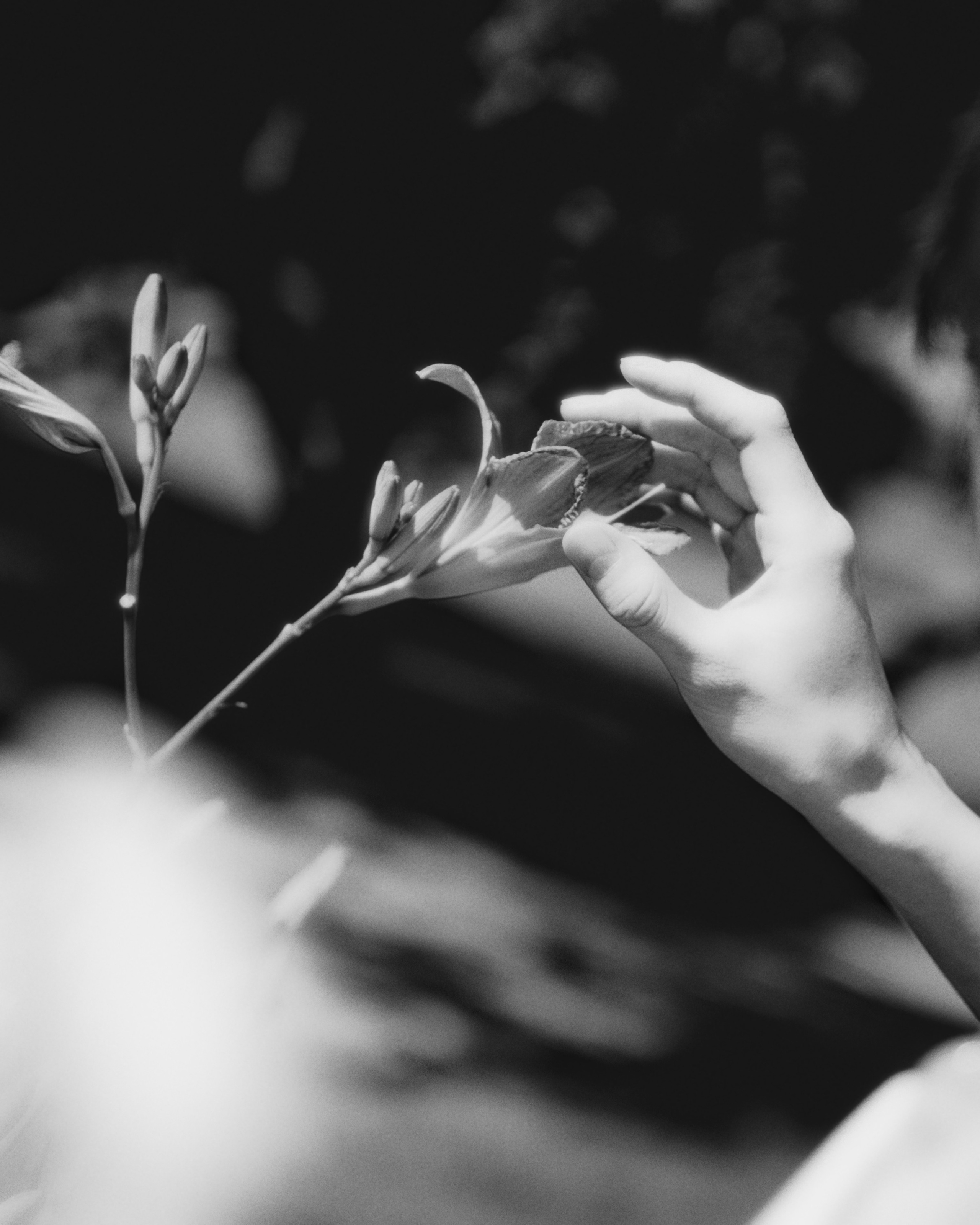 Портретная фотосессия в азиатском стиле