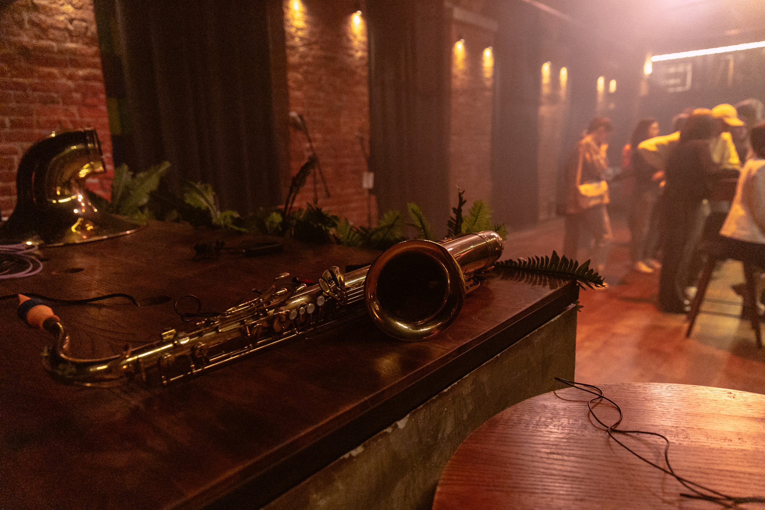 Концерт Mad Brass Band