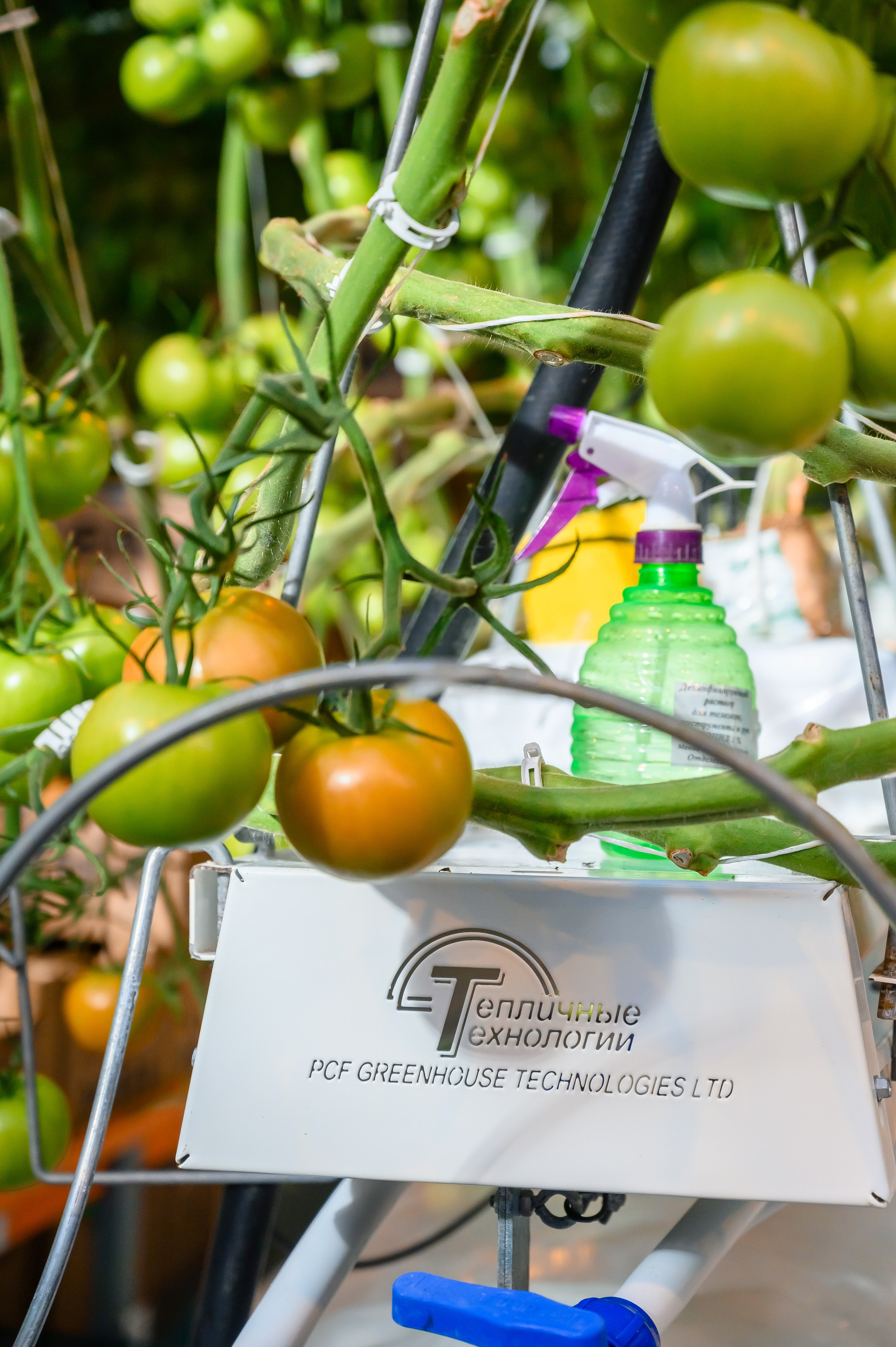 Тепличный комплекс «ПЕРМСКИЙ»