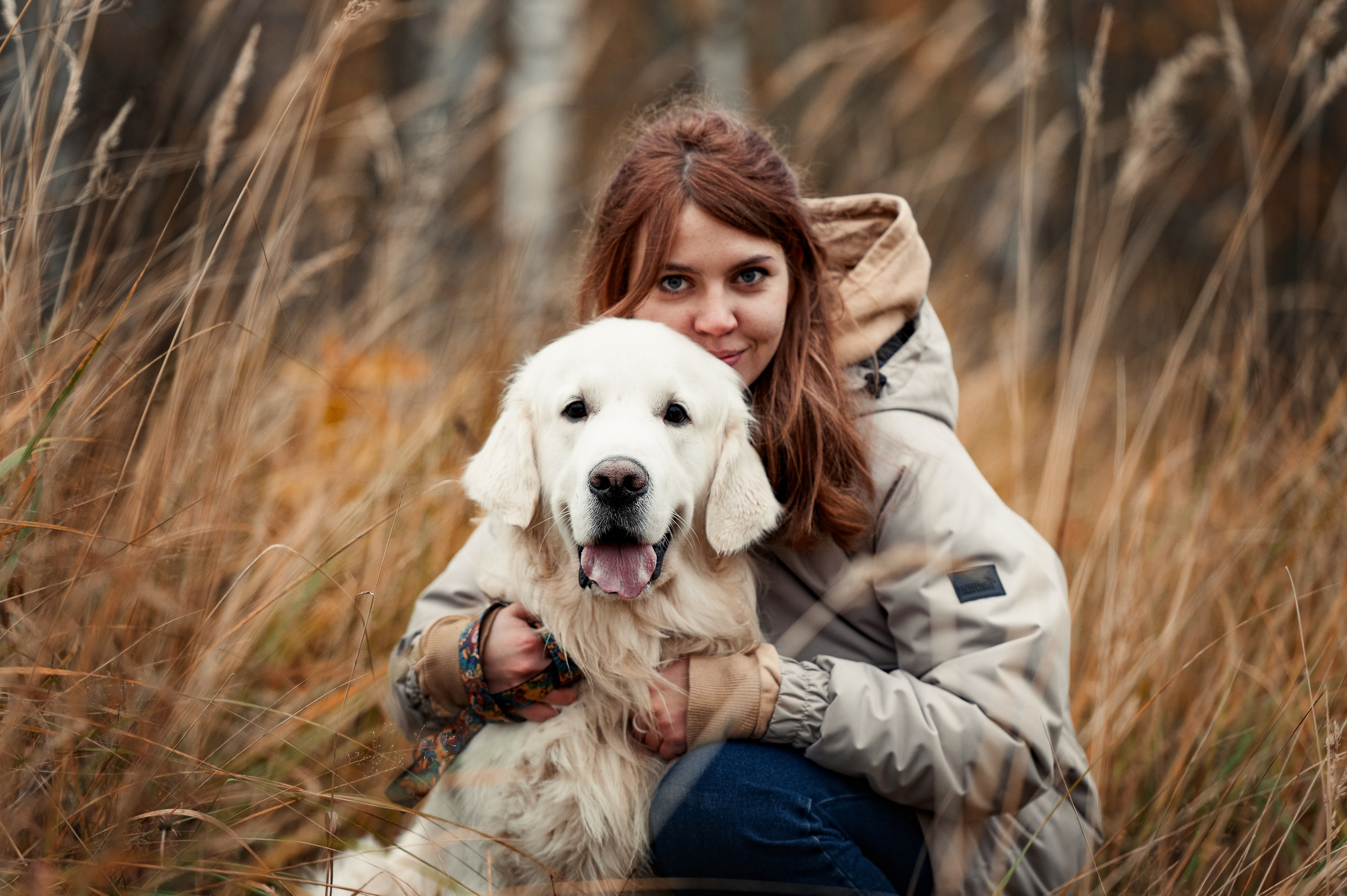 Айс и золотая осень. Фотограф-анималист