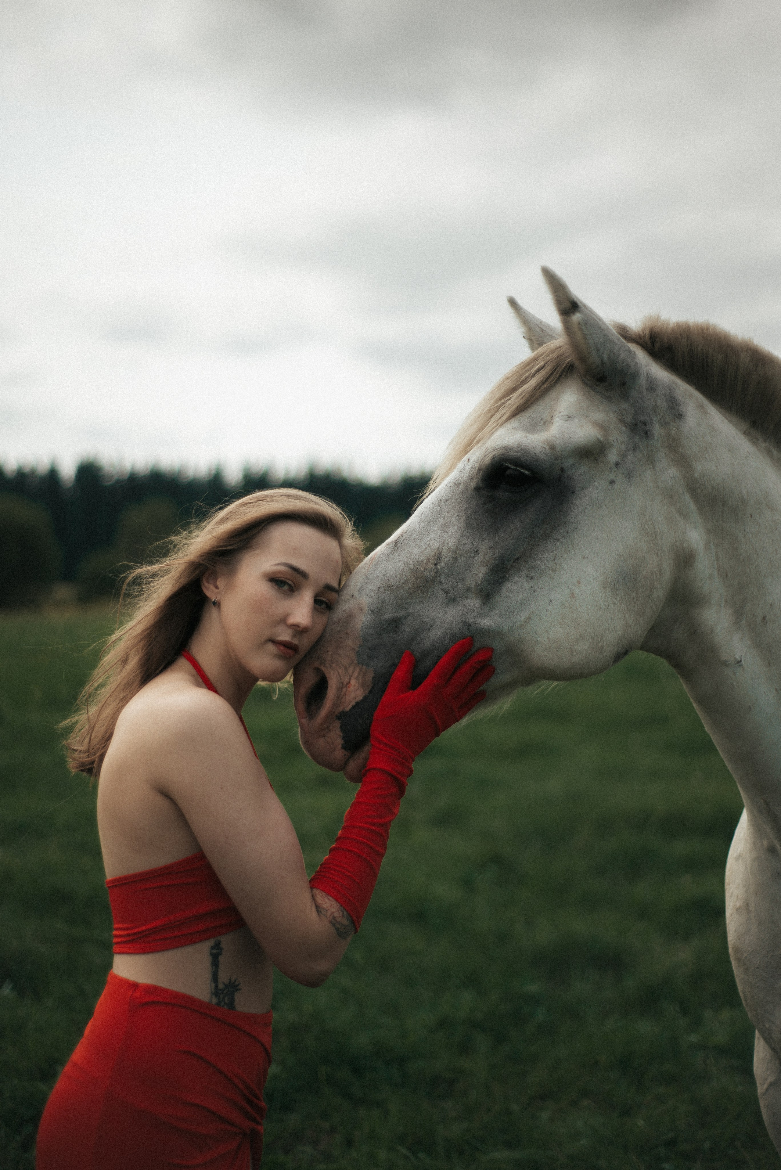Horse. Фотограф