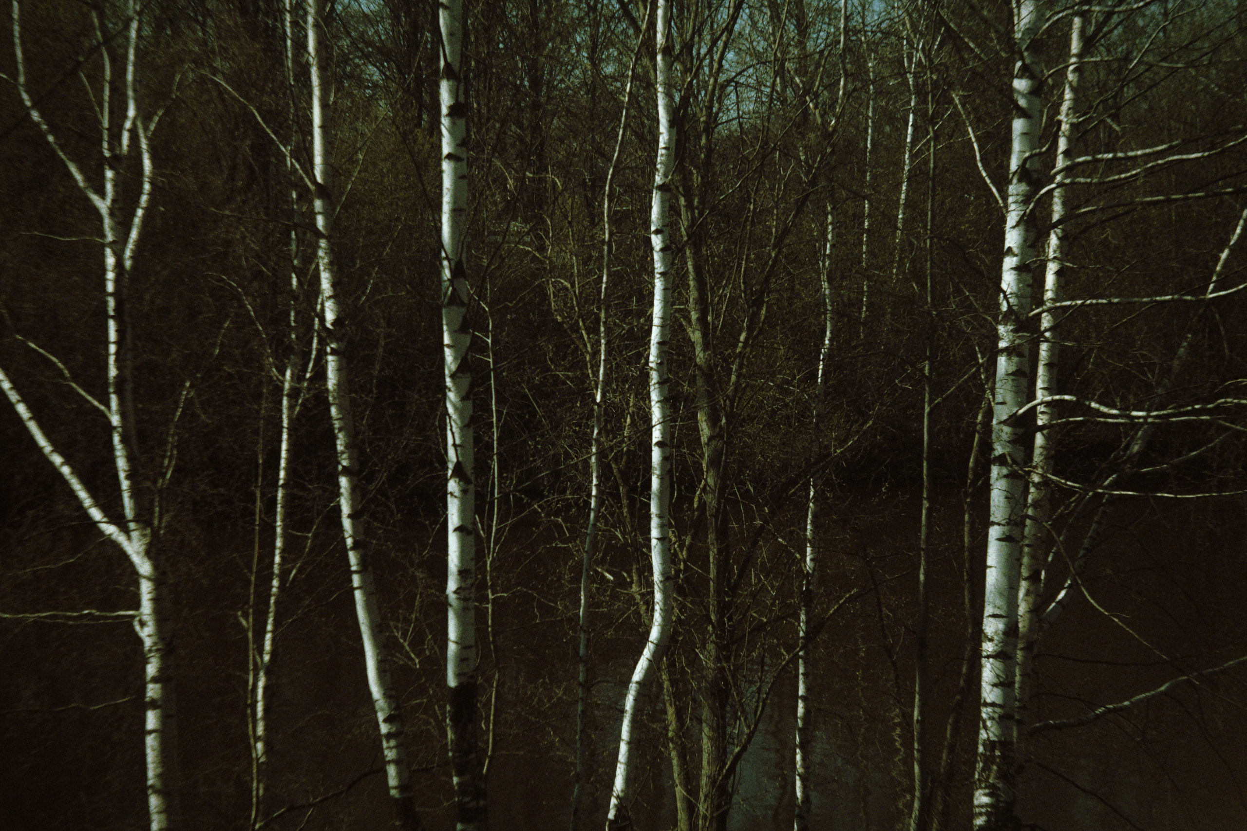 Bardo. Роман Ходырев — художник, фотограф, музыкант, эзотериолог. Санкт-Петербург, Рига