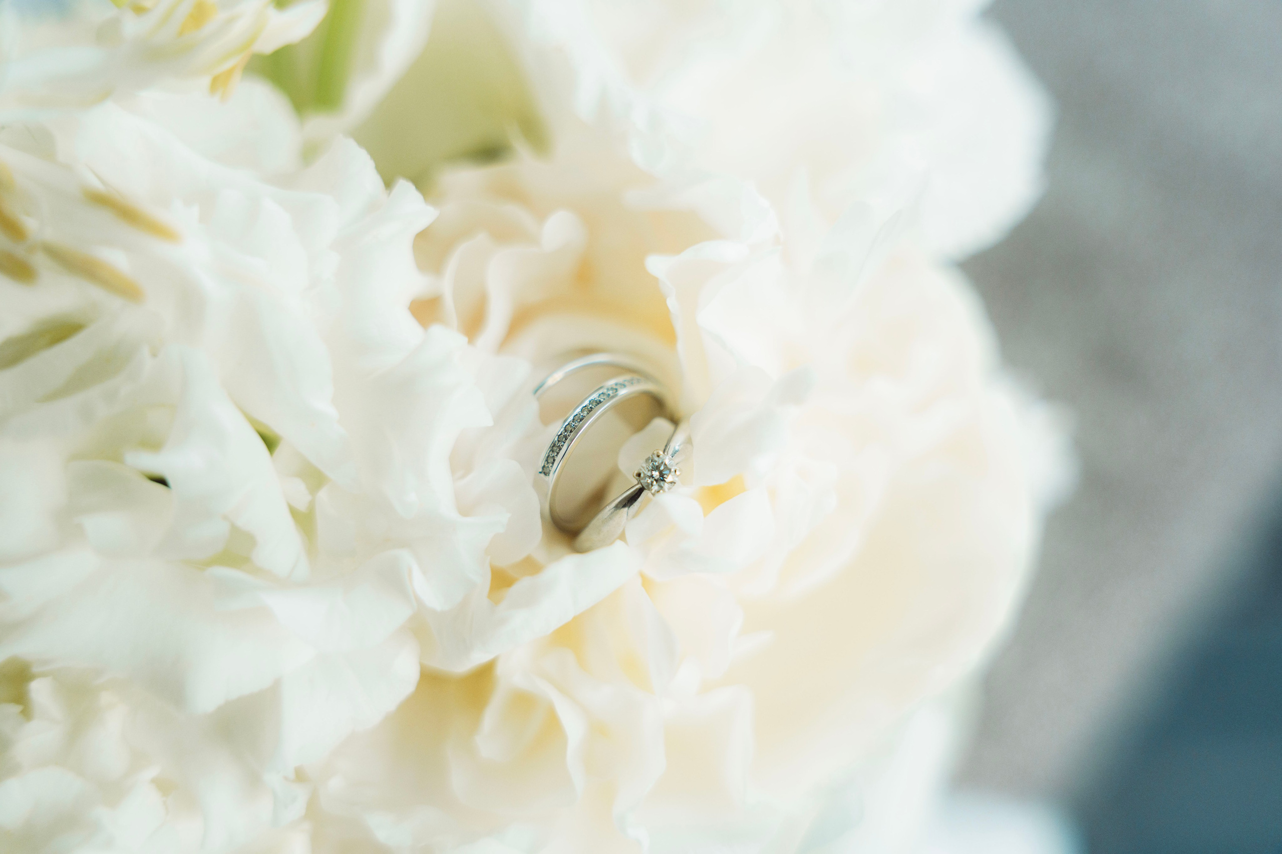 Юлия и Николай. Фотограф Юлия Попова