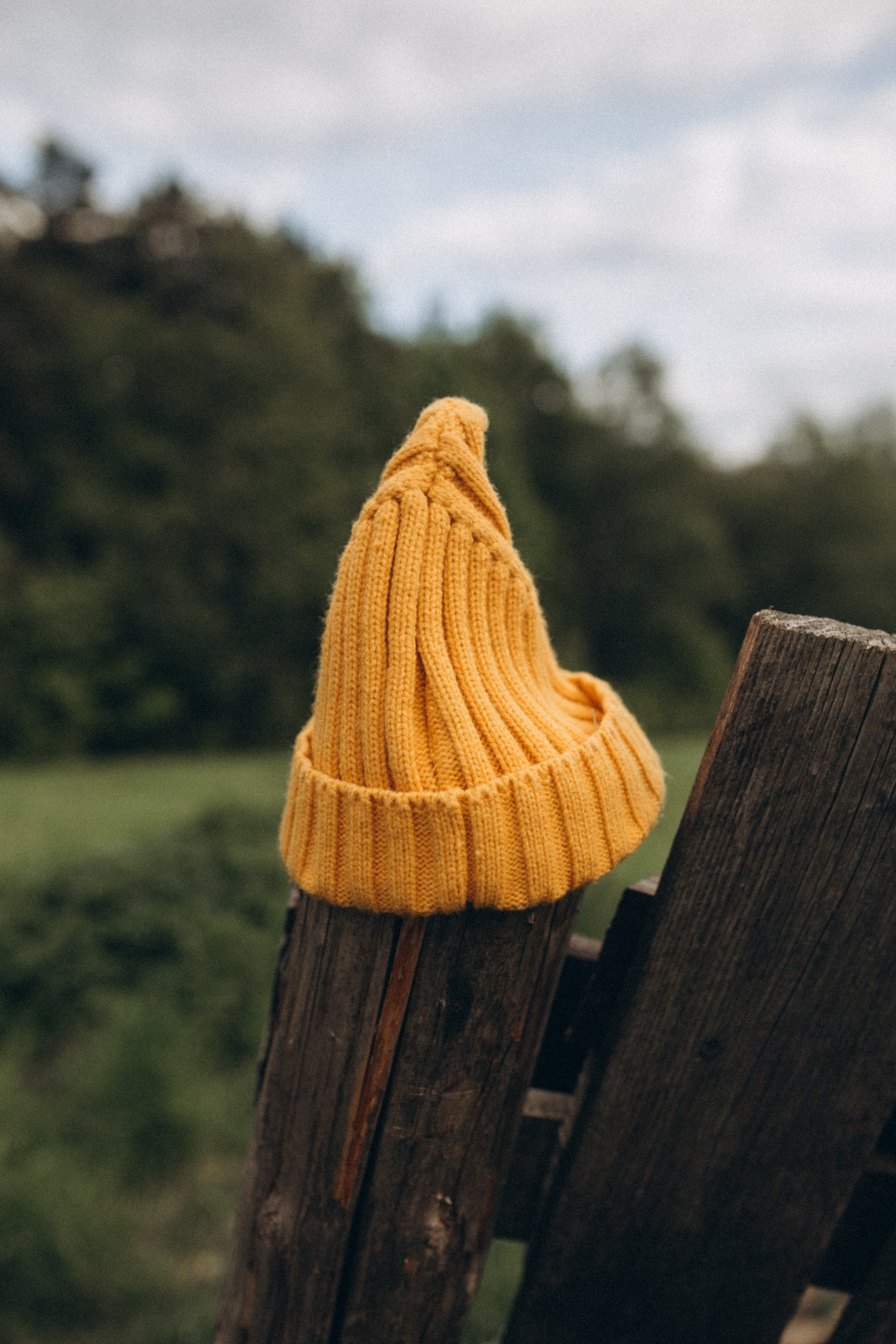 Семейная съемка на улице. Семейный и детский фотограф в Москве Антонина Смирнова