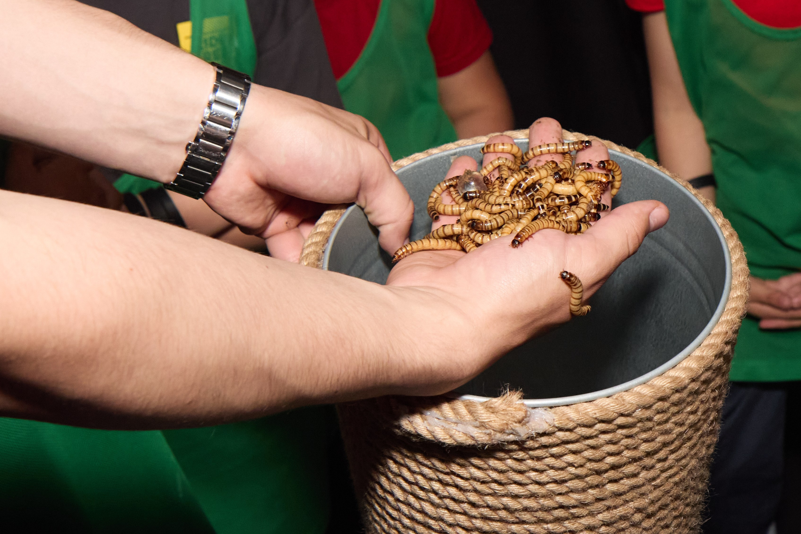 Репортажи. Фотограф Великий Новгород Татьяна Чиглинцева