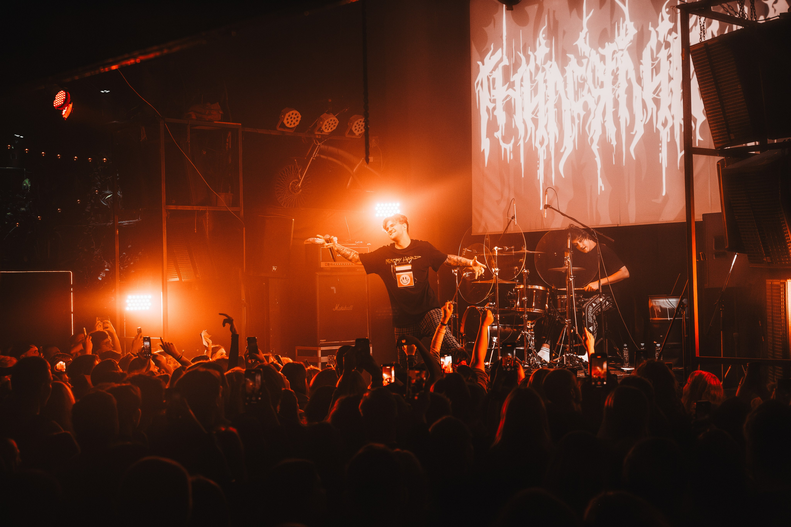 Гнилаялирика | 05.10.25 | Ласточка