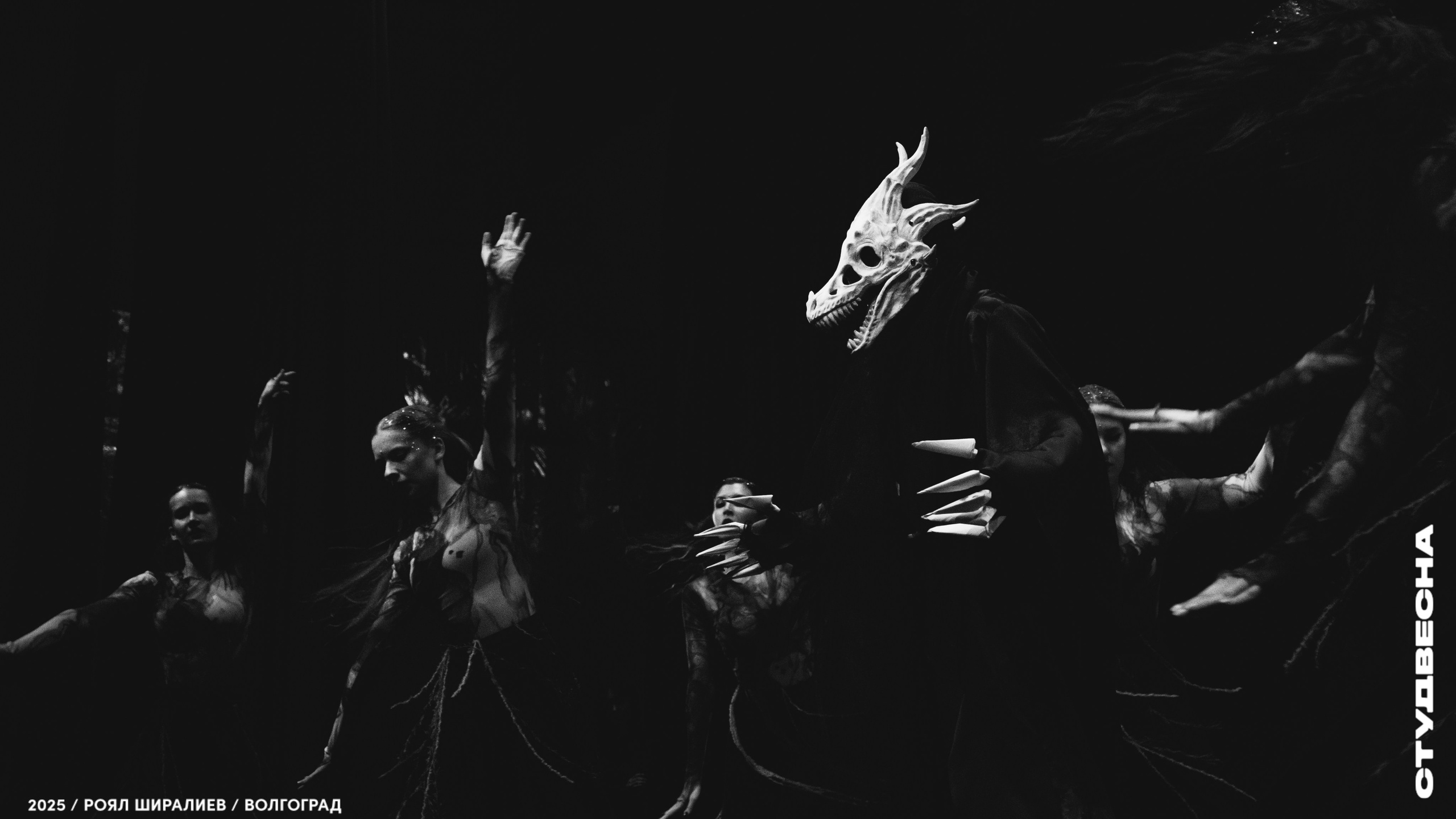 Студенческая весна | Регион | 2025. Royal Shirali