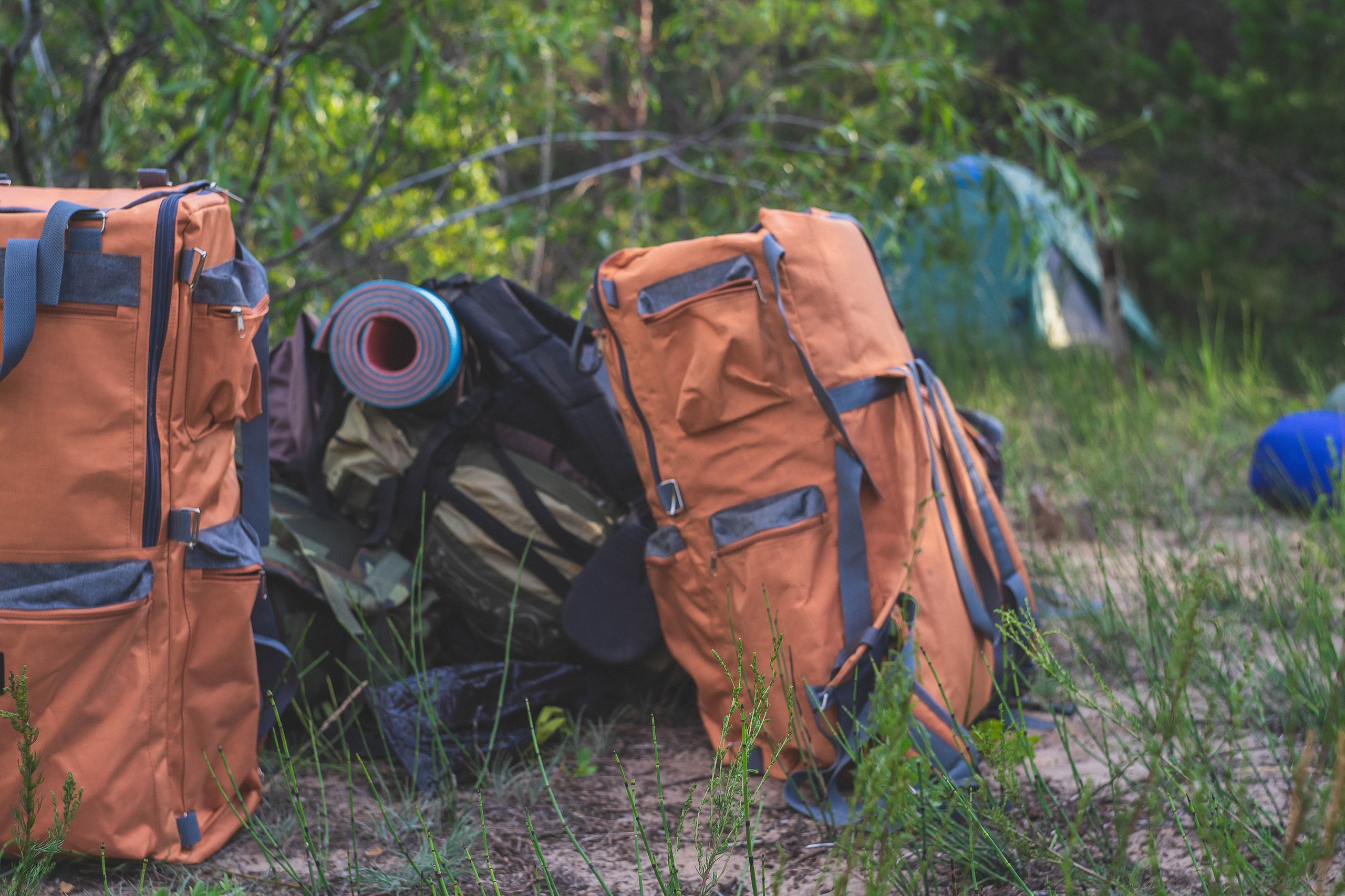 Всероссийская школа поисковика «Поисковый фронт». Алиса Никитцова | Фотограф в Казани