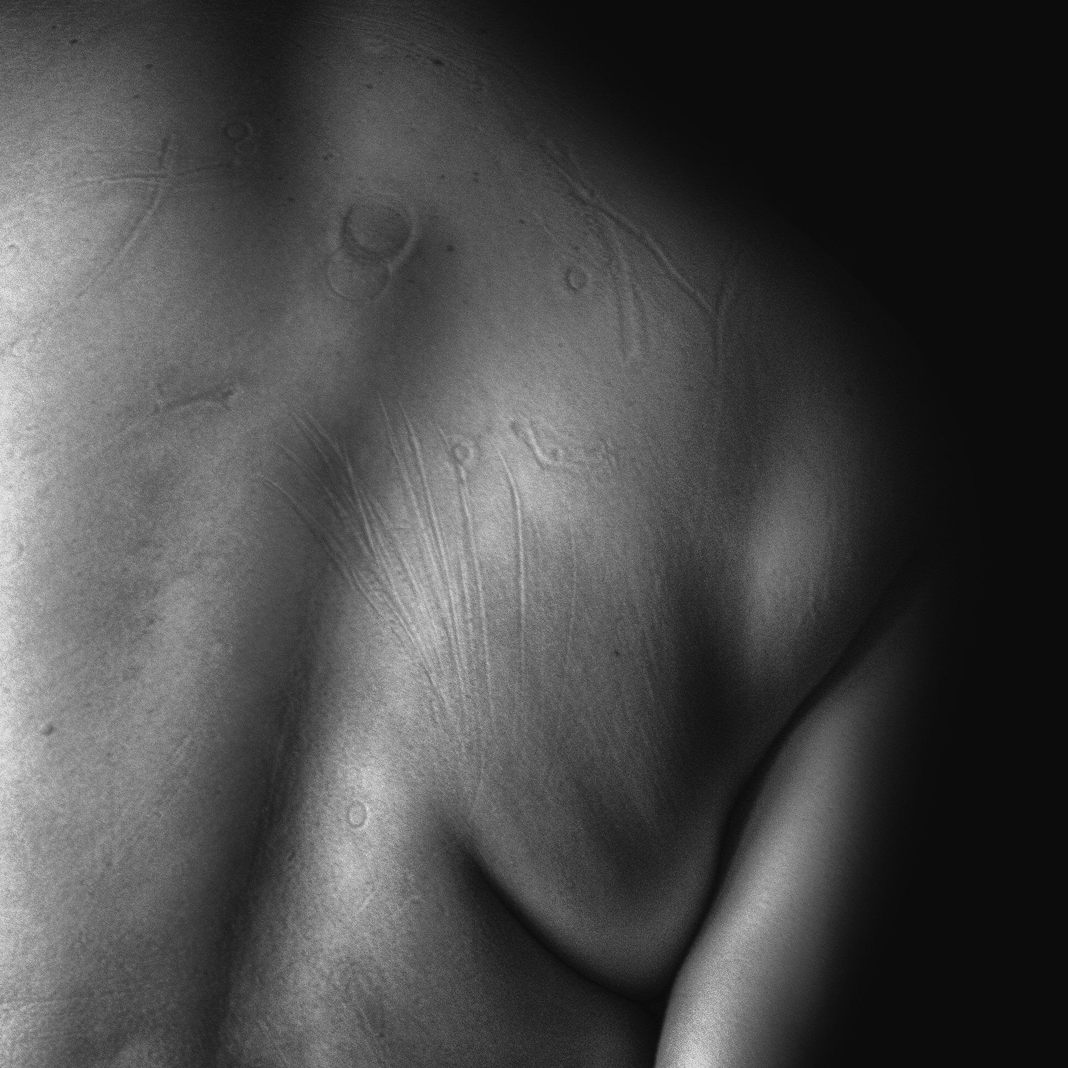 Bodyfrottage 18+. Фотограф Женя Грош в Москве