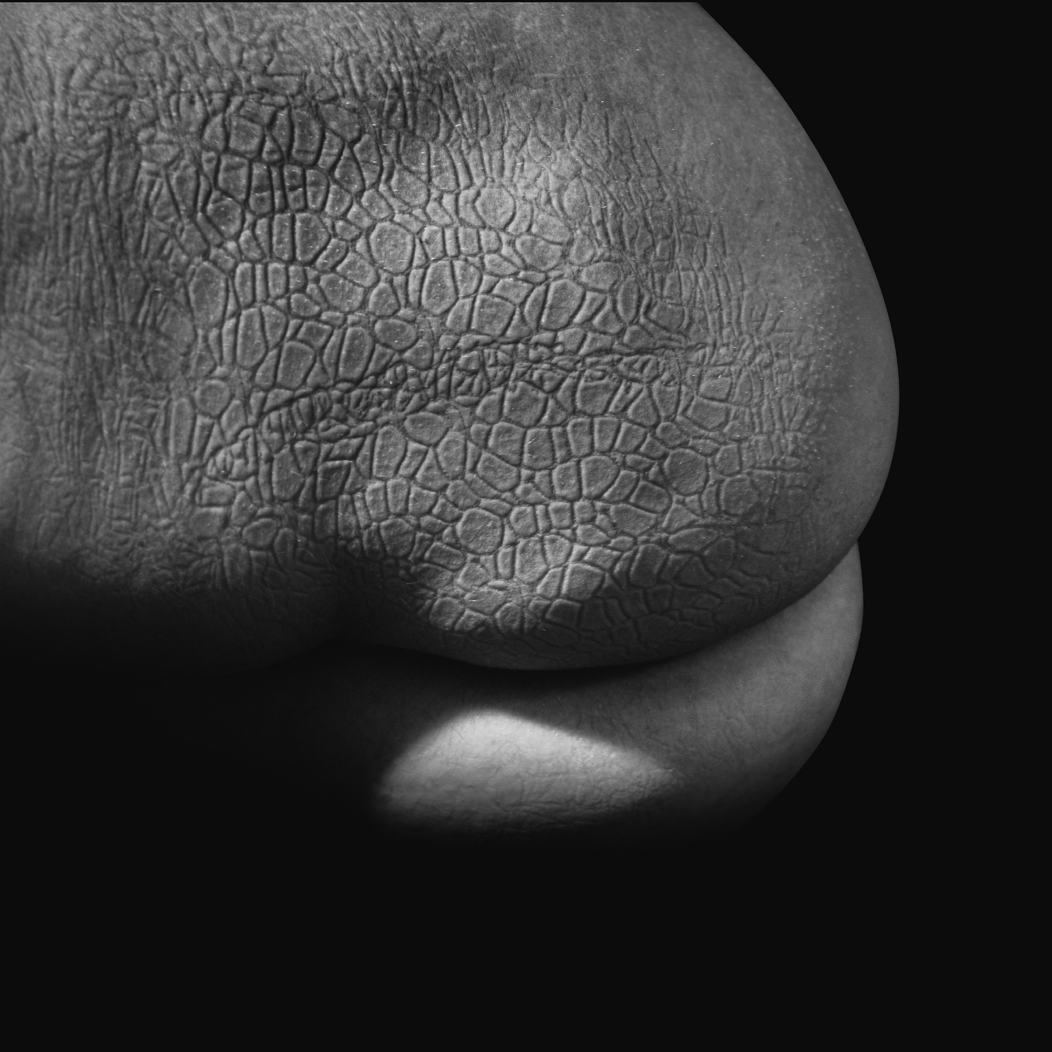 Bodyfrottage 18+. Фотограф Женя Грош в Москве