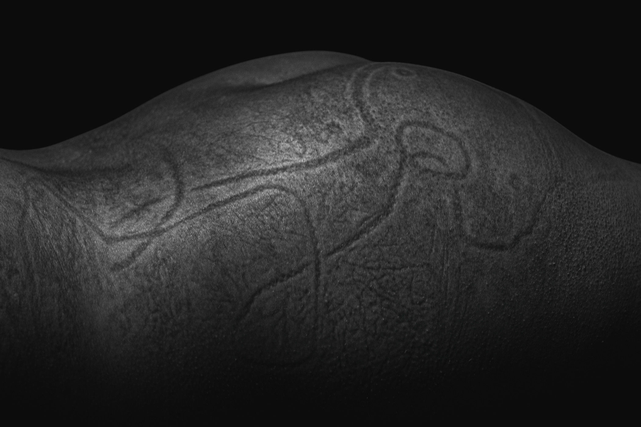 Bodyfrottage 18+. Фотограф Женя Грош в Москве