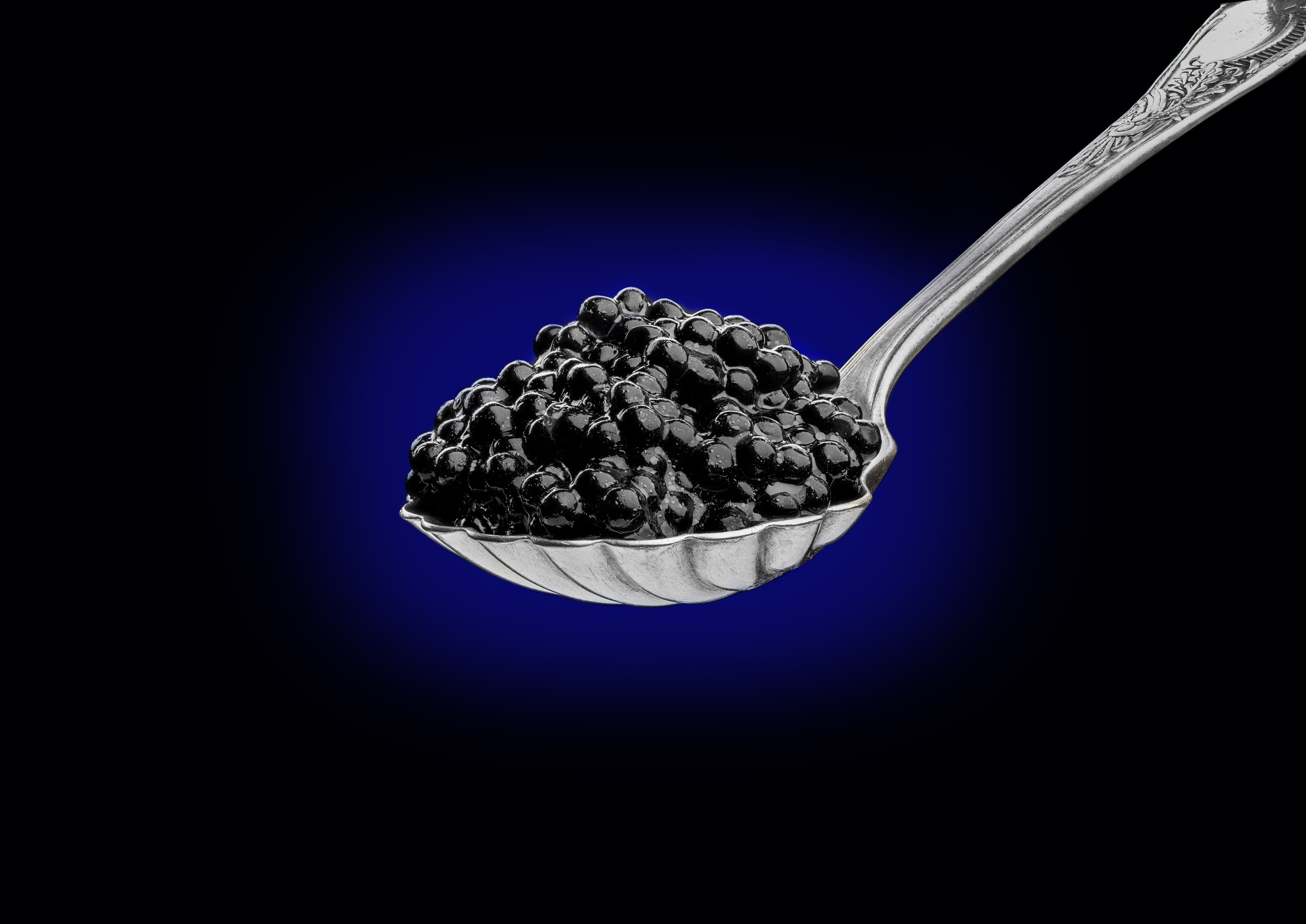 черная икра в серебряной ложке на синем пятне на черном фоне