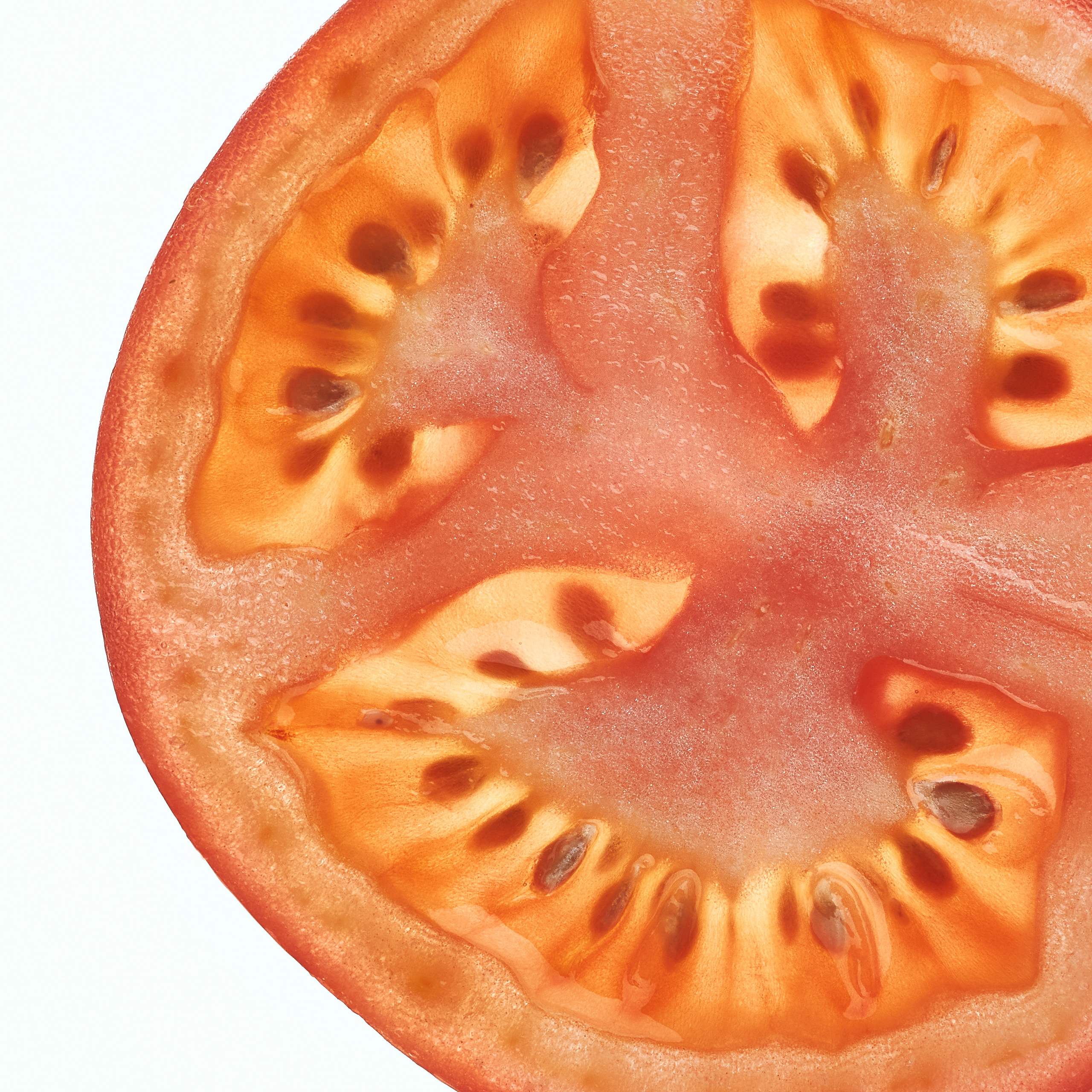 слайс помидора на просвет на белом фоне