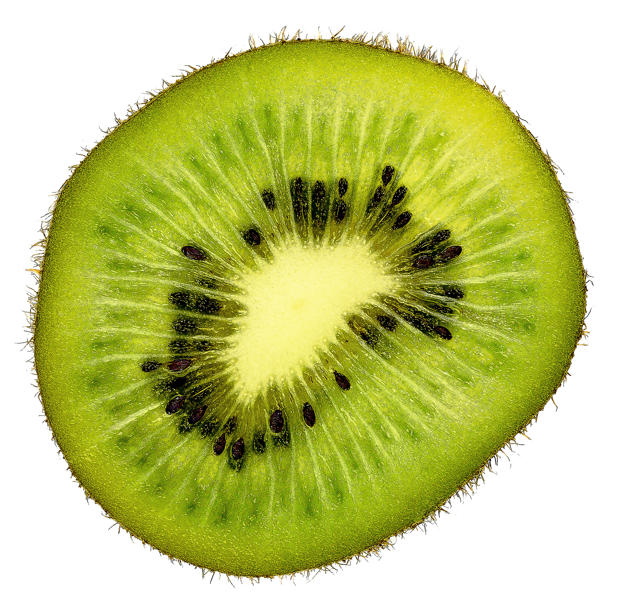 фото слайса киви на просвет на белом фоне