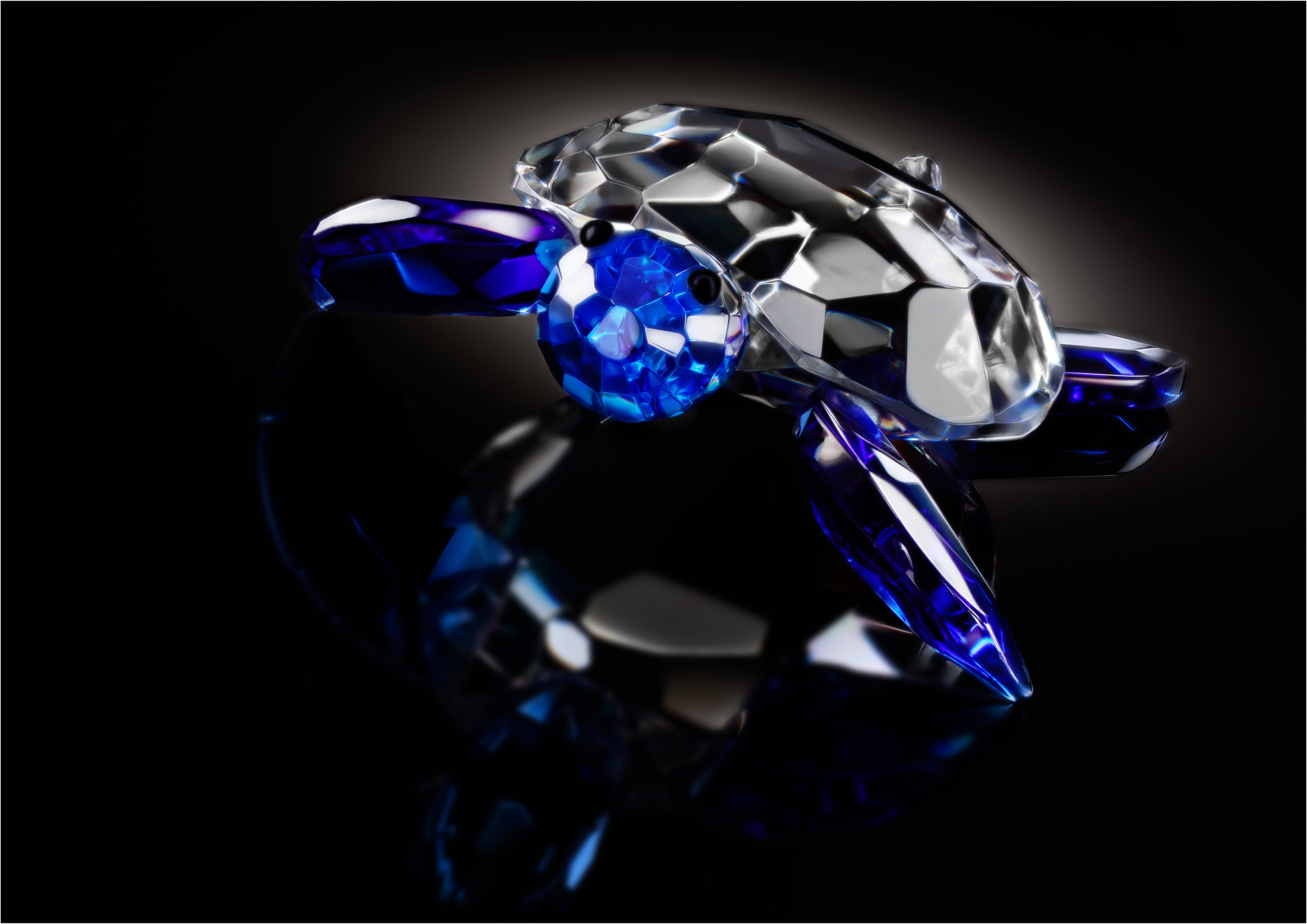 Фотограф в Санкт-Петербурге Сергей Борецкий