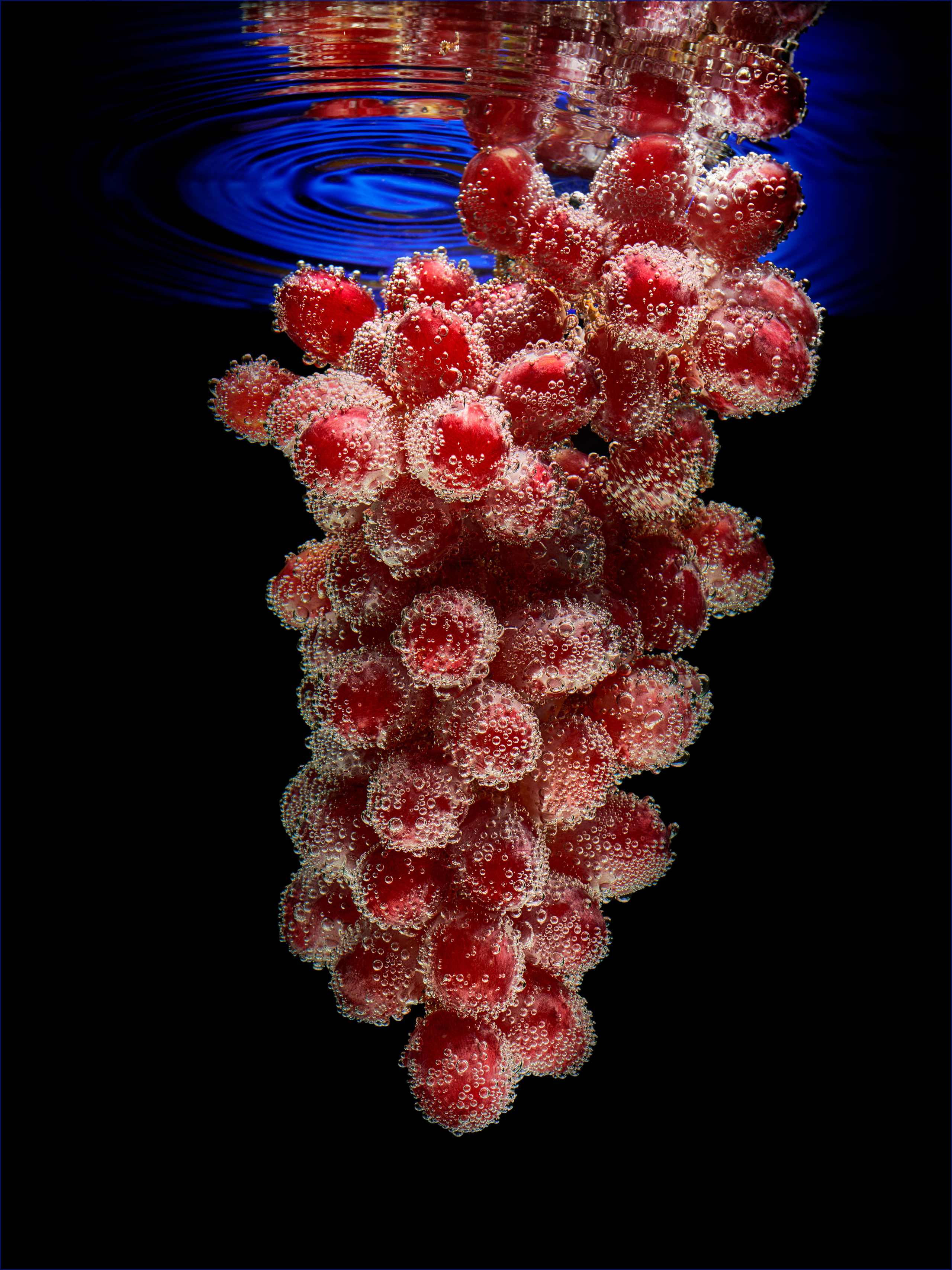 Фотограф Санкт-Петербург Сергей Борецкий. Фотограф в Санкт-Петербурге Сергей Борецкий