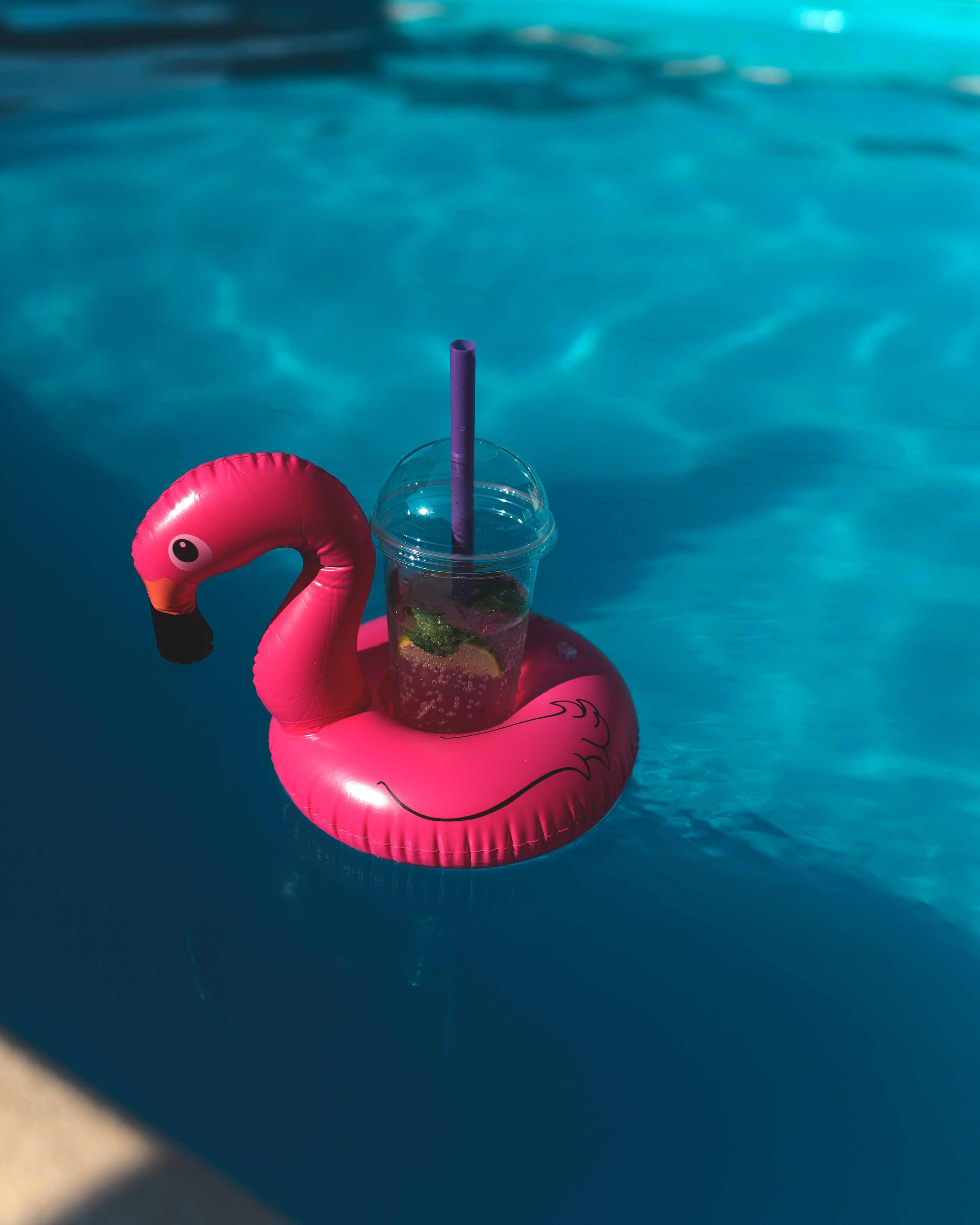 HB 2025 Ярослава