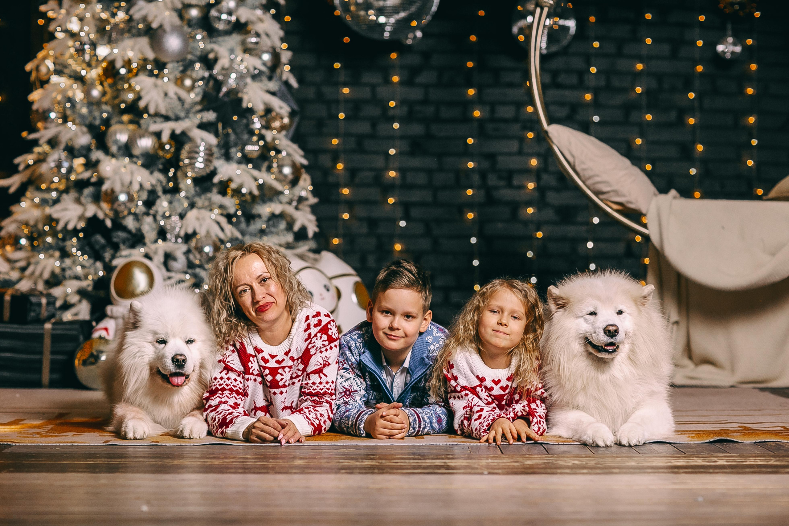 Семейные. Свадебный и семейный фотограф Елизавета Ермак | Москва и МО