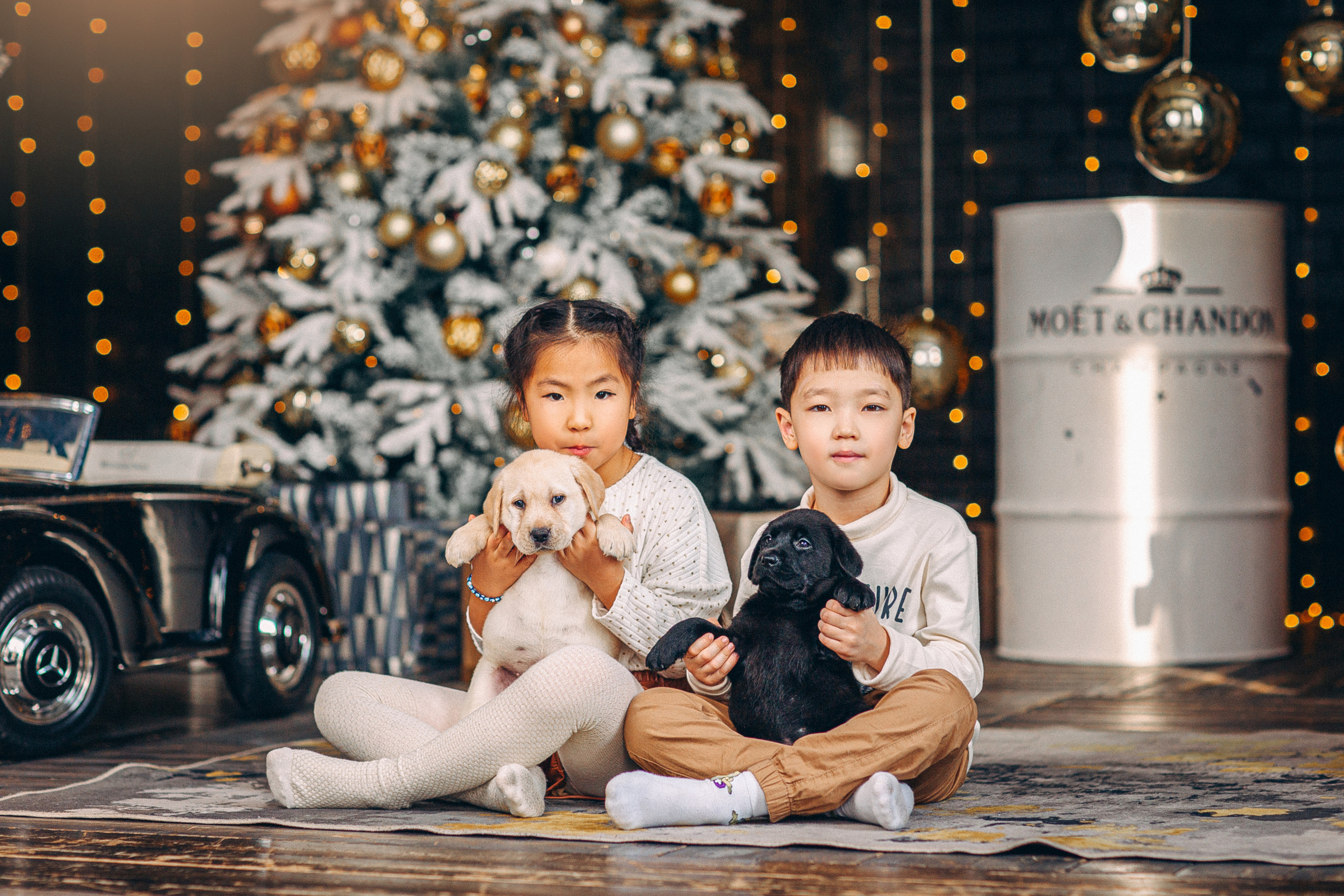 Семейные. Свадебный и семейный фотограф Елизавета Ермак | Москва и МО