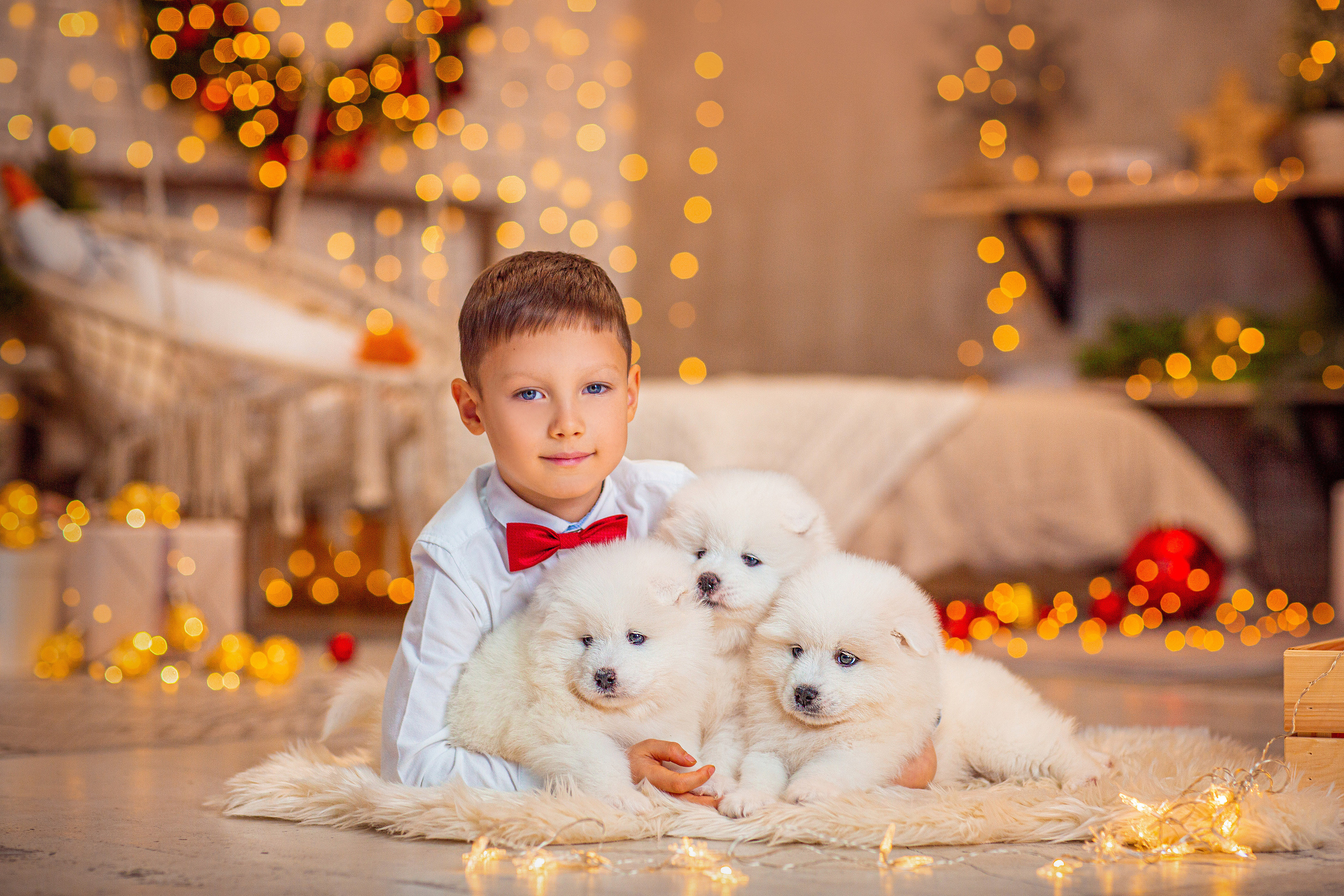 Семейные. Свадебный и семейный фотограф Елизавета Ермак | Москва и МО