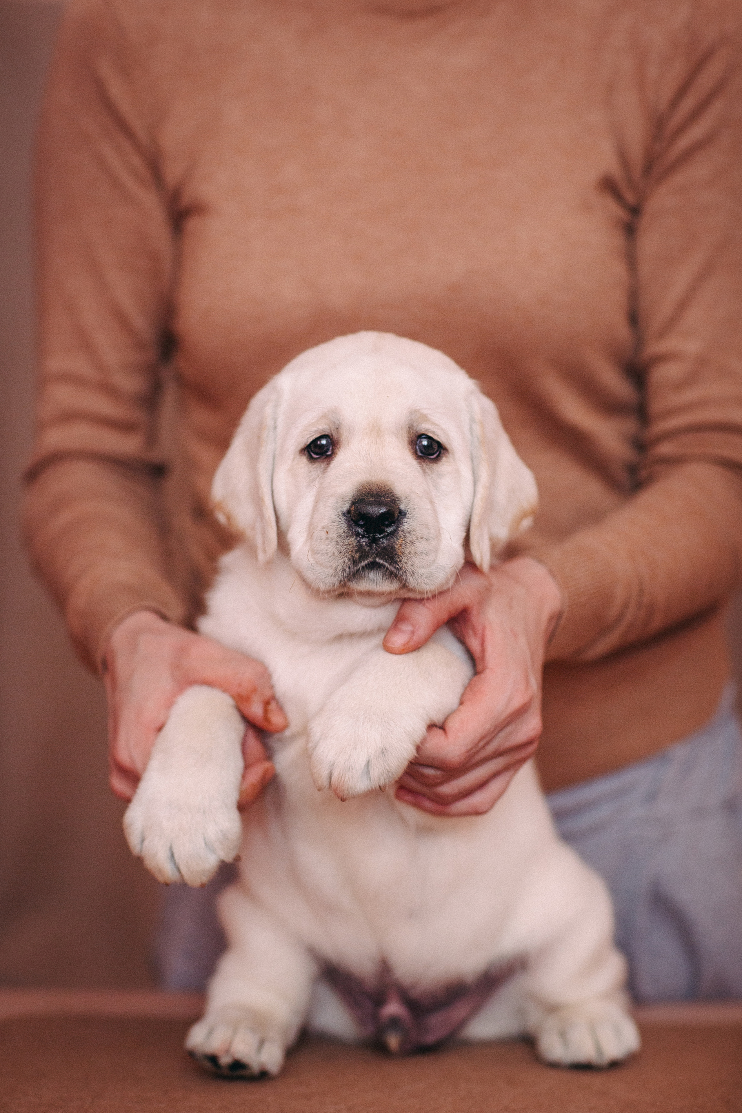 Анималистика. Свадебный и семейный фотограф Елизавета Ермак | Москва и МО