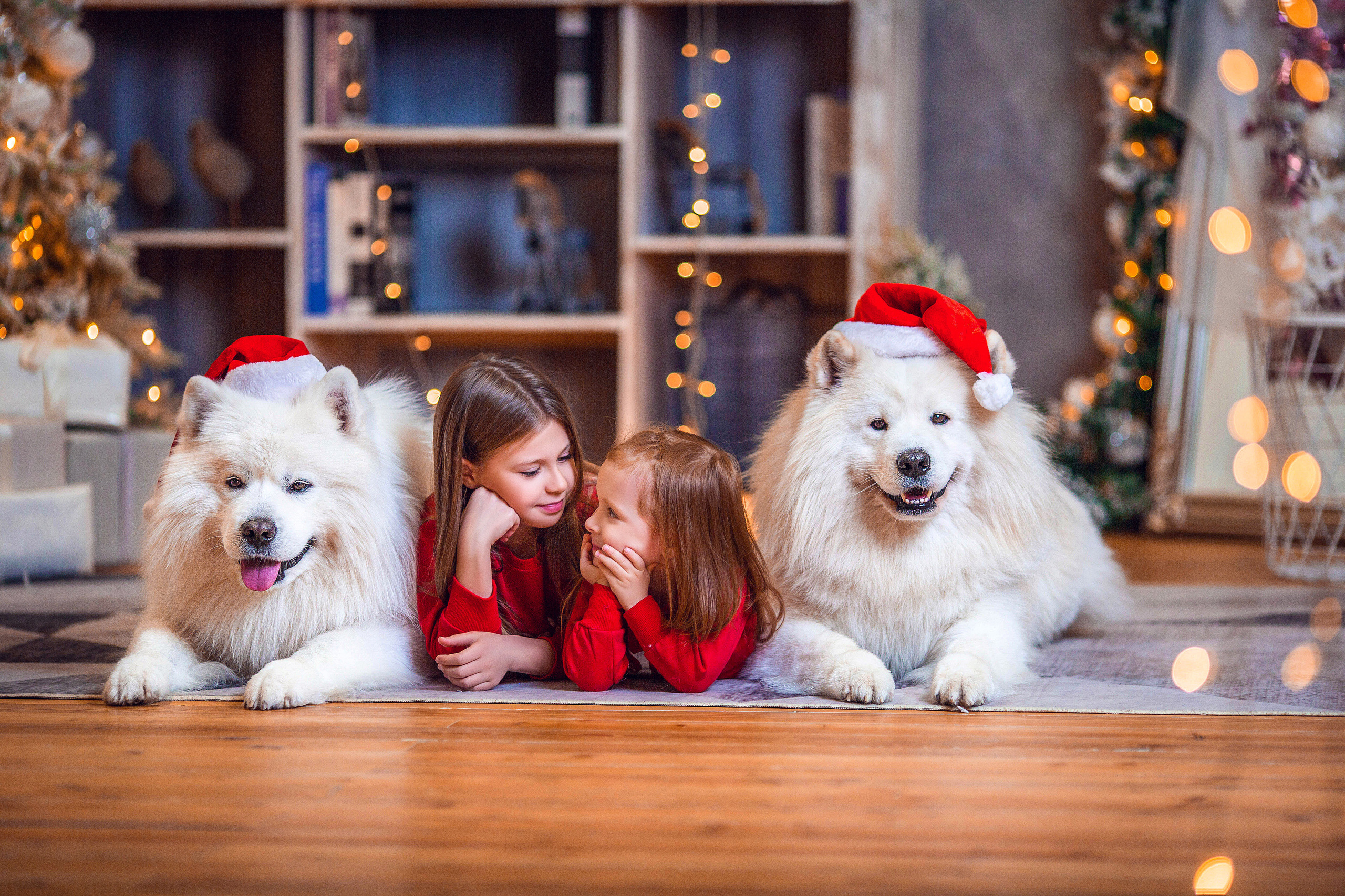 Семейные. Свадебный и семейный фотограф Елизавета Ермак | Москва и МО