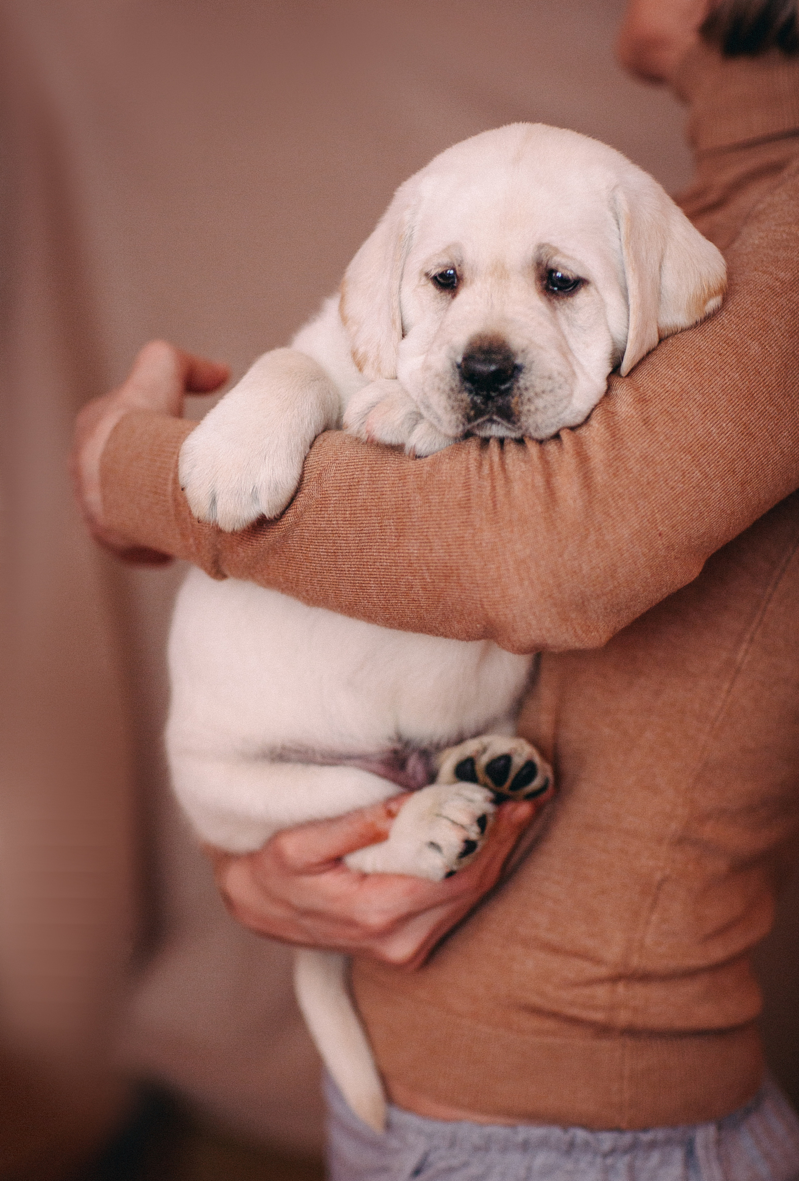 Анималистика. Свадебный и семейный фотограф Елизавета Ермак | Москва и МО