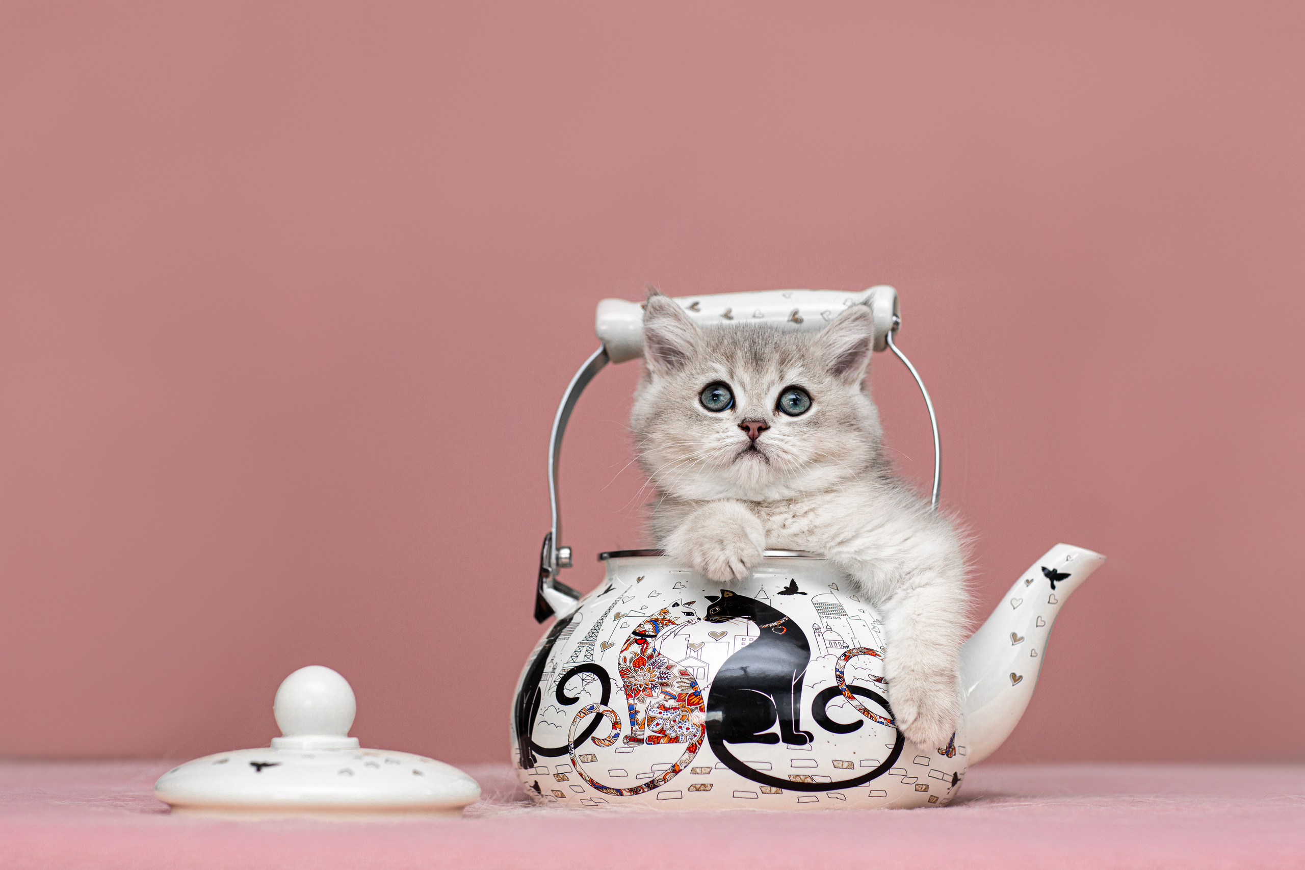 Анималистика. Свадебный и семейный фотограф Елизавета Ермак | Москва и МО