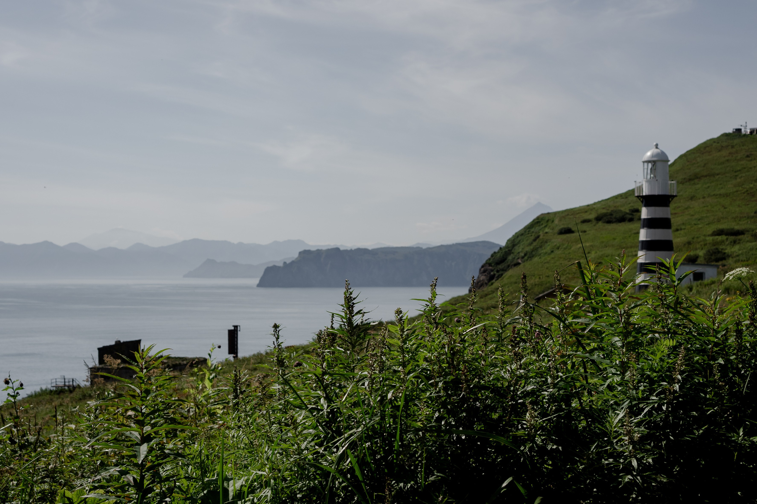 Мыс Маячный на Камчатке. Профессиональный фотограф, Санкт-Петербург — Виктория Богомолова