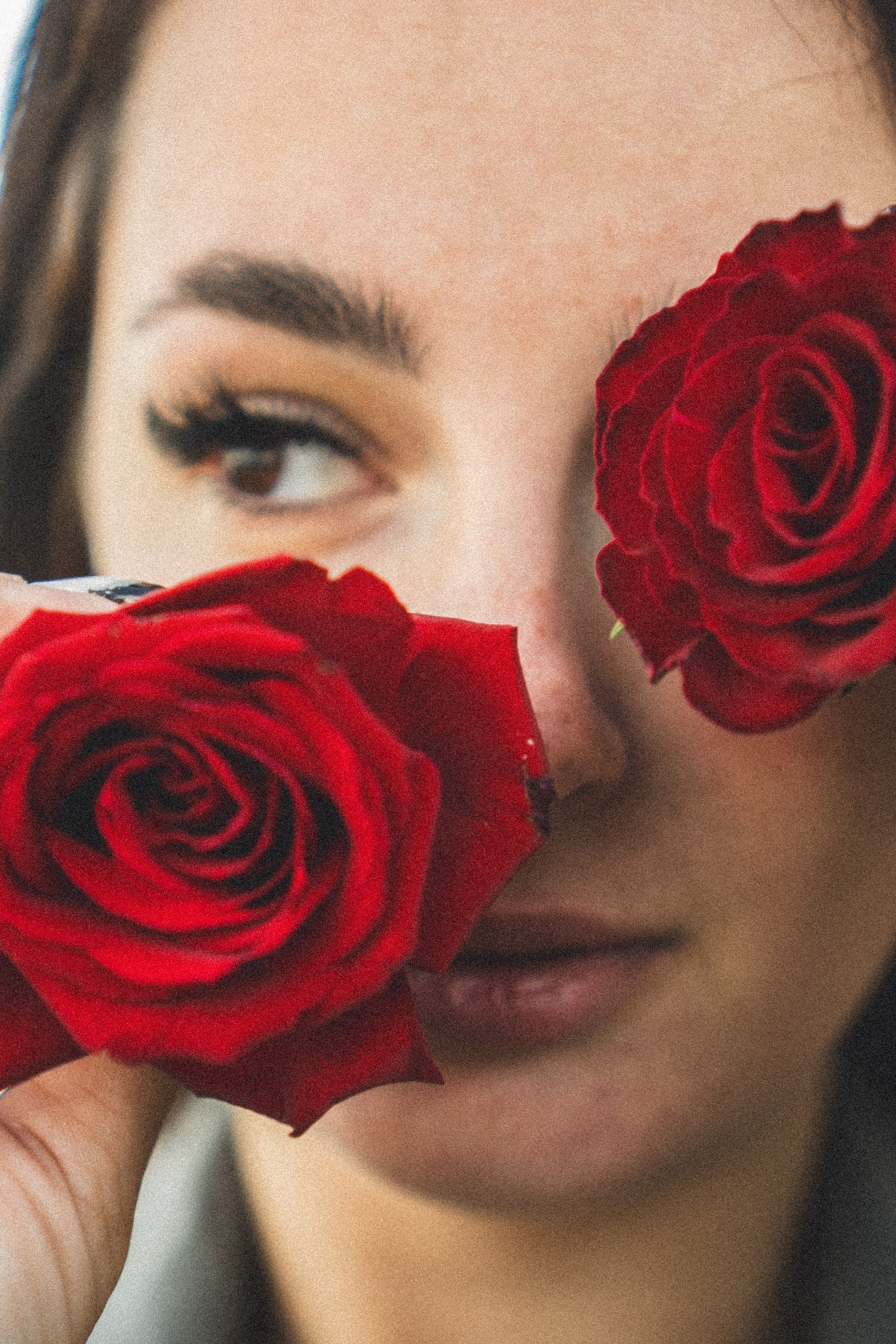 Розы. Профессиональный фотограф, Санкт-Петербург — Виктория Богомолова