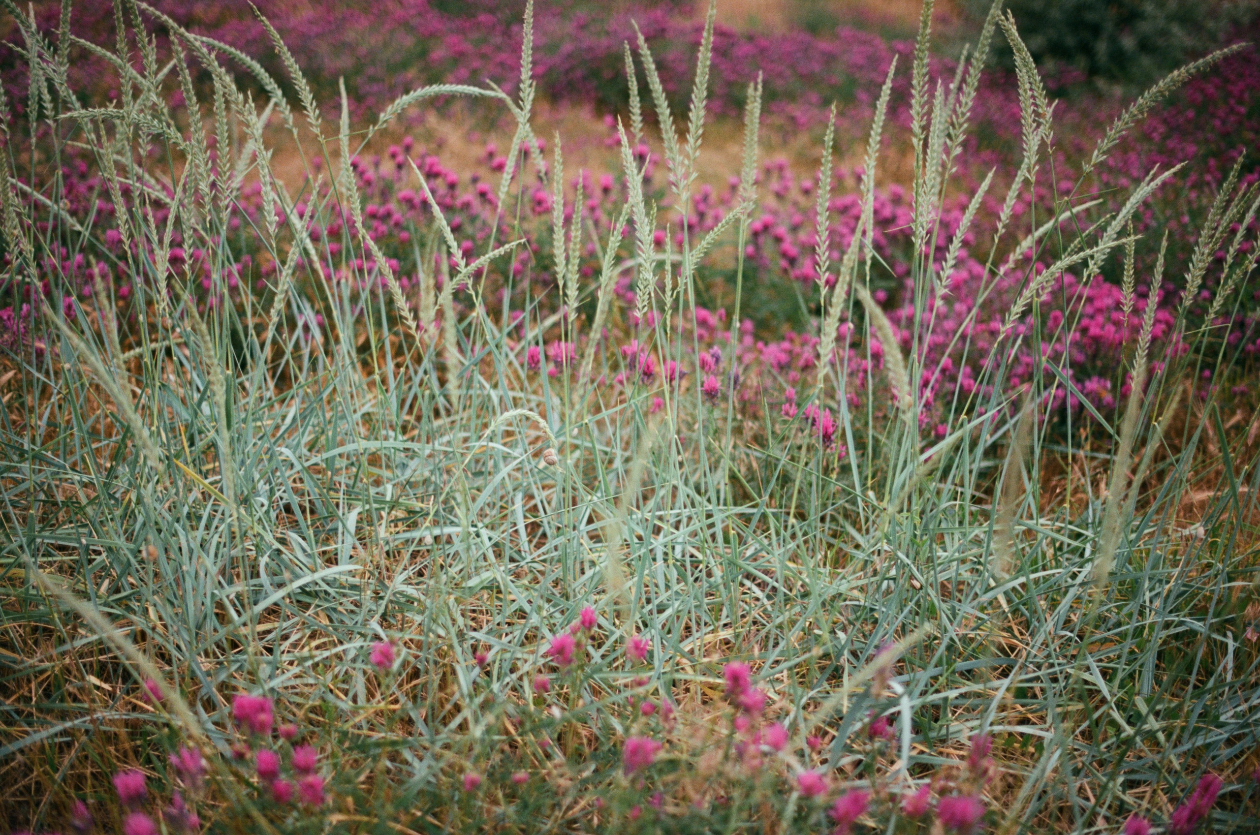 Silent running // ukraine, crimea IV. EVER EXPOSED